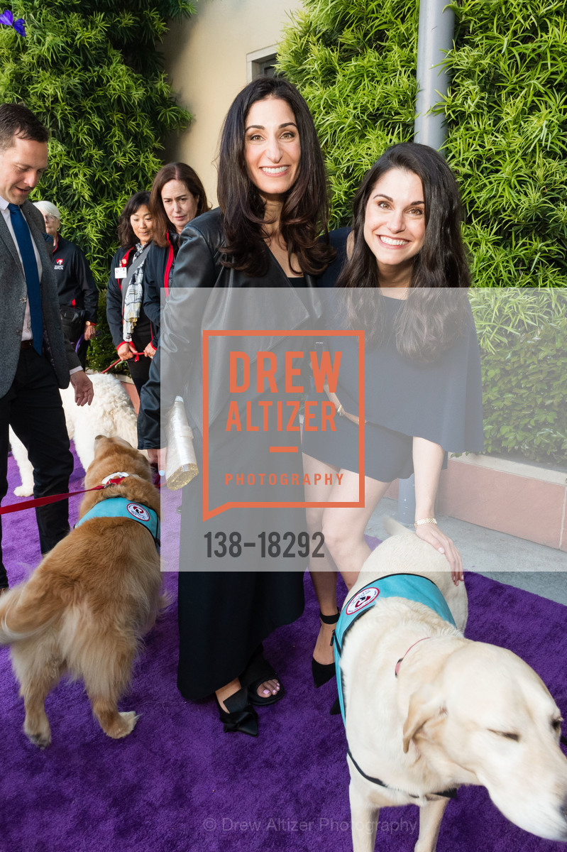 Danielle Yokell, Allison Friedberg, SF SPCA Gala 2019- Metamorphisis, 201 Alabama St. 201 Alabama St, Photo #138-18292 Danielle Yokell, Allison Friedberg, Photo #138-18292
