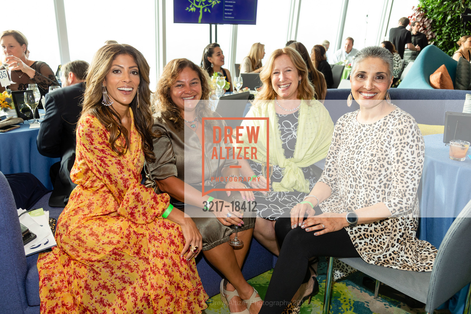 Subyn Wadsworth, Carmen Mullen, Kathy Thorwaldson, Norma Kropelnicki, LymeAid 2019, Salesforce Tower, 60 and 61st Floors. 415 Mission St, May 11th, 2019, Photo #3217-18412 Subyn Wadsworth, Carmen Mullen, Kathy Thorwaldson, Norma Kropelnicki, Photo #3217-18412
