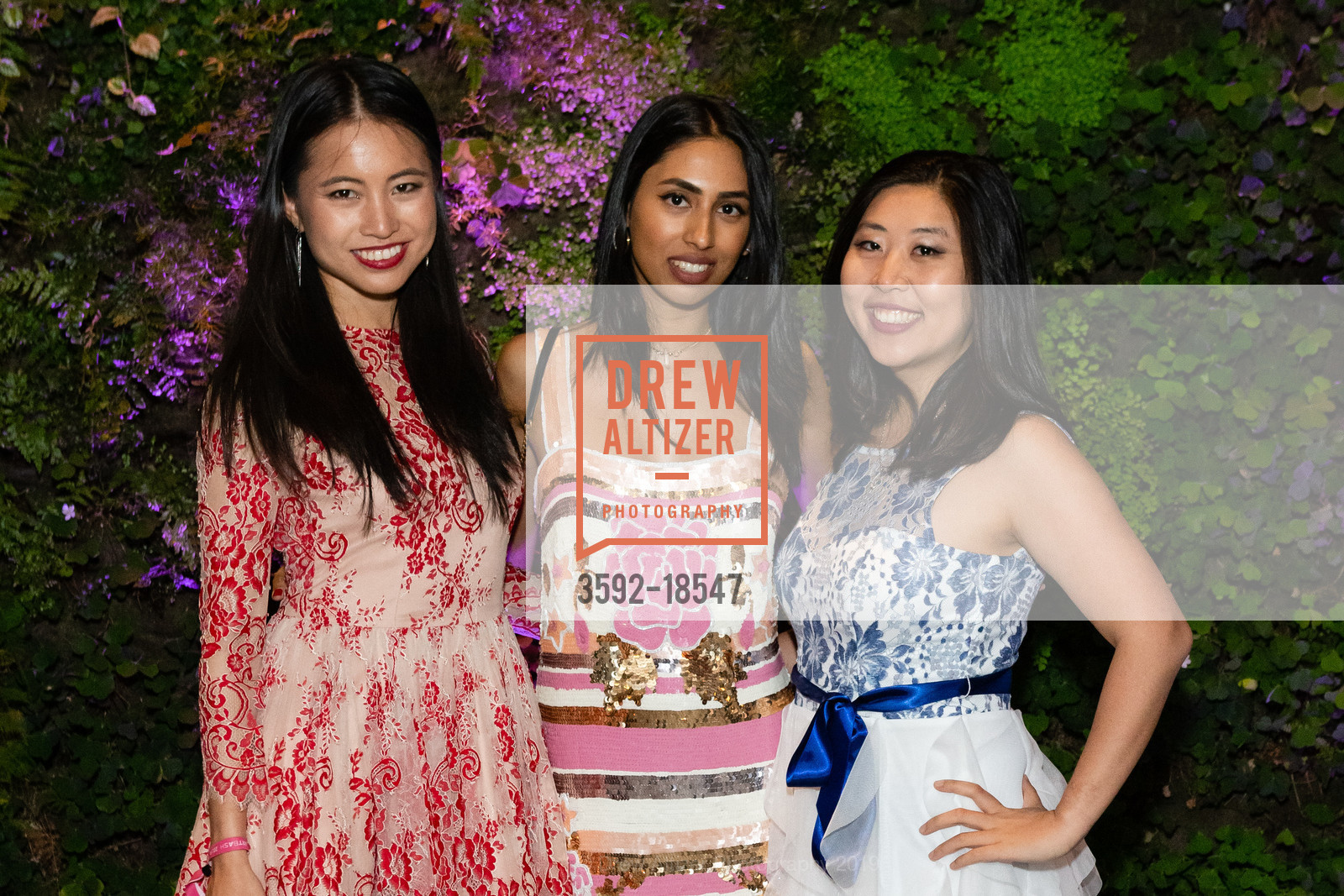Luna Dai, Nina Mova, Sophia Hu, Photo #3592-18547