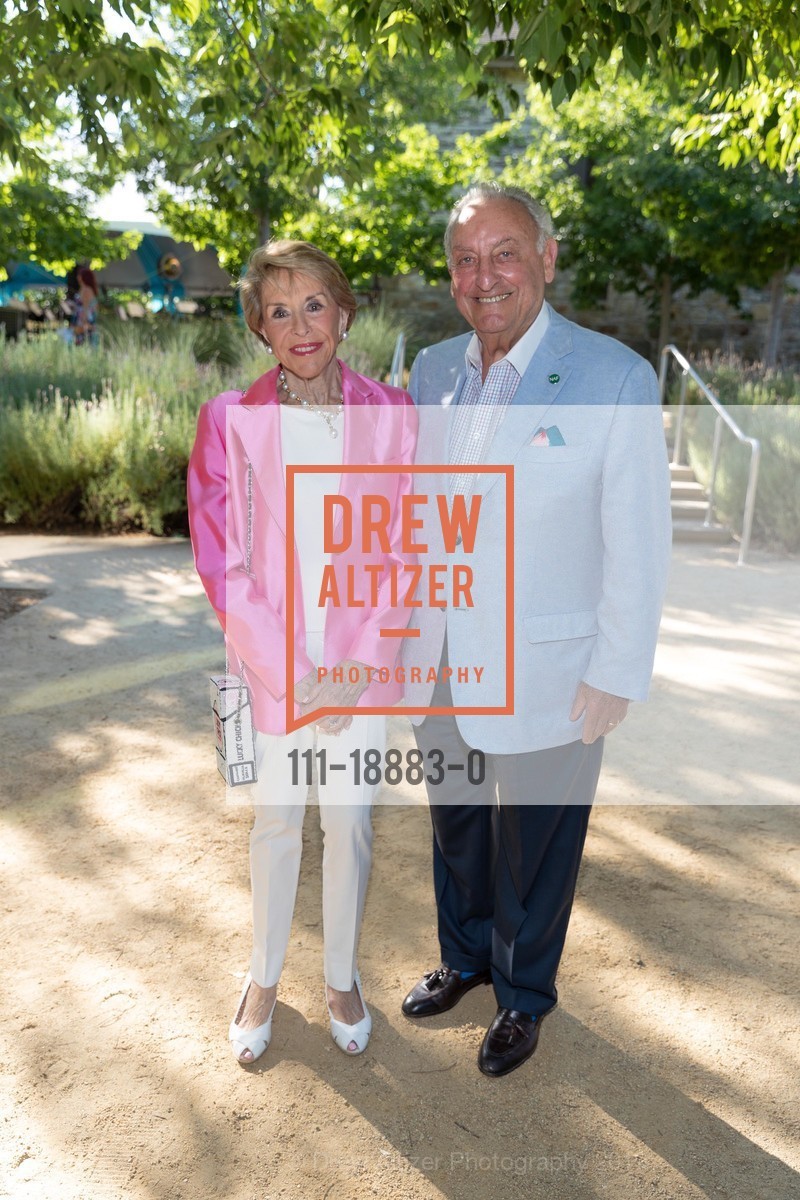 Joan Weill, Sandy Weill, Festival Napa Valley 2019 Arts for All Gala Featuring SEAL, HALL Wines. 401 St Helena Highway, July 14th, 2019, Photo #111-18883-0 Joan Weill, Sandy Weill, Photo #111-18883-0
