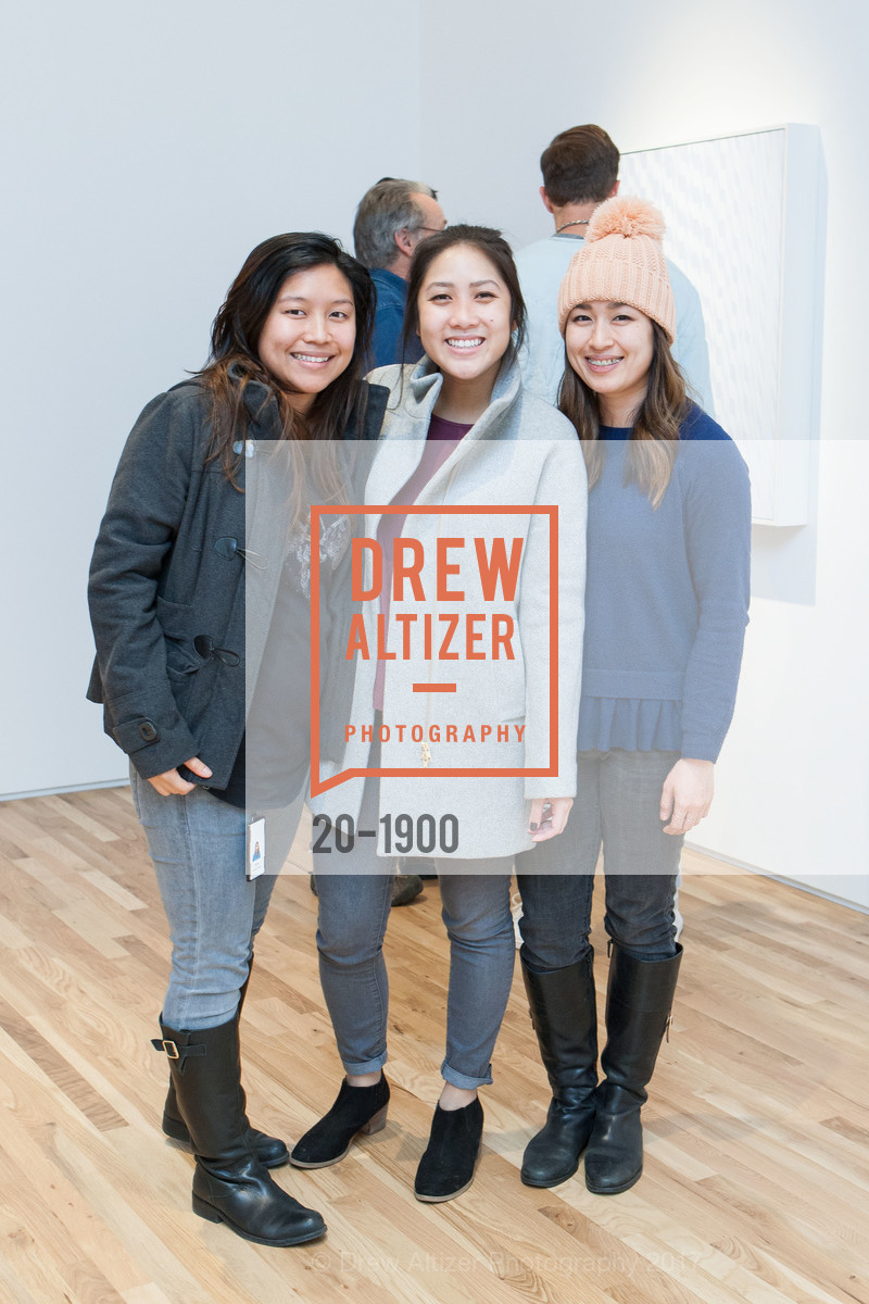 Tammy Pham, Virginia Seng, Lynne Lu, Tara Donovan Opening at Pace Palo Alto, Pace Gallery, January 25th, 2017, Photo #20-1900 Tammy Pham, Virginia Seng, Lynne Lu, Photo #20-1900