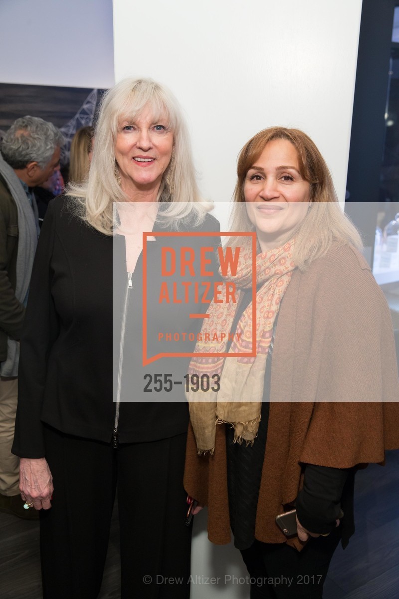 Mary Ann Lawson, Grand Opening of IS: Fine Art and Design with the Swann Group, IS Gallery. 3848 24th Street, January 27th, 2017, Photo #255-1903 Mary Ann Lawson, Photo #255-1903