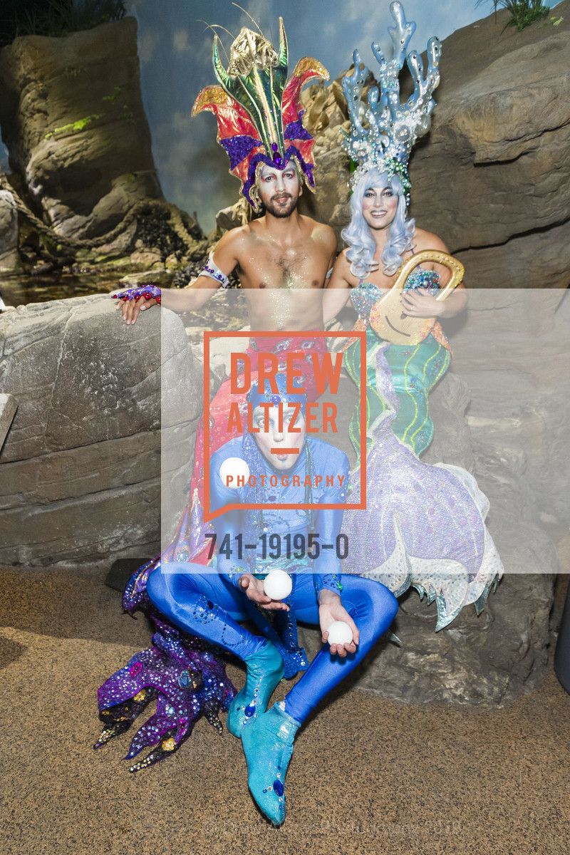 Angel Spinler, Sierra Camille, Christopher Richardson, Aquarium by the Bay Blue Marble Benefit 2019, Aquarium Of The Bay. Pier 39, September 20th, 2019, Photo #741-19195-0 Angel Spinler, Sierra Camille, Christopher Richardson, Photo #741-19195-0