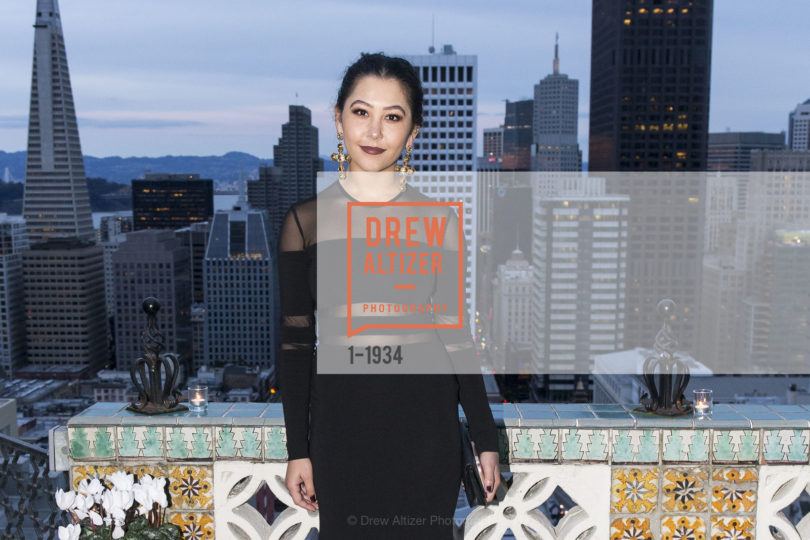 Jacqueline Wray, Spinsters Legacy Benefit supporting KEEN 2017, Fairmont Hotel, Penthouse, February 25th, 2017, Photo #1-1934 Jacqueline Wray, Photo #1-1934