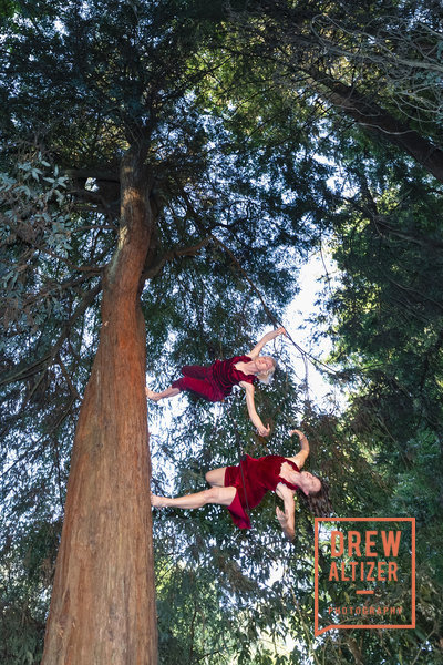 Save the Redwoods League and the San Francisco Giants Celebrate Milestone  Anniversaries at AT&T Park on Aug. 25 - Save the Redwoods League