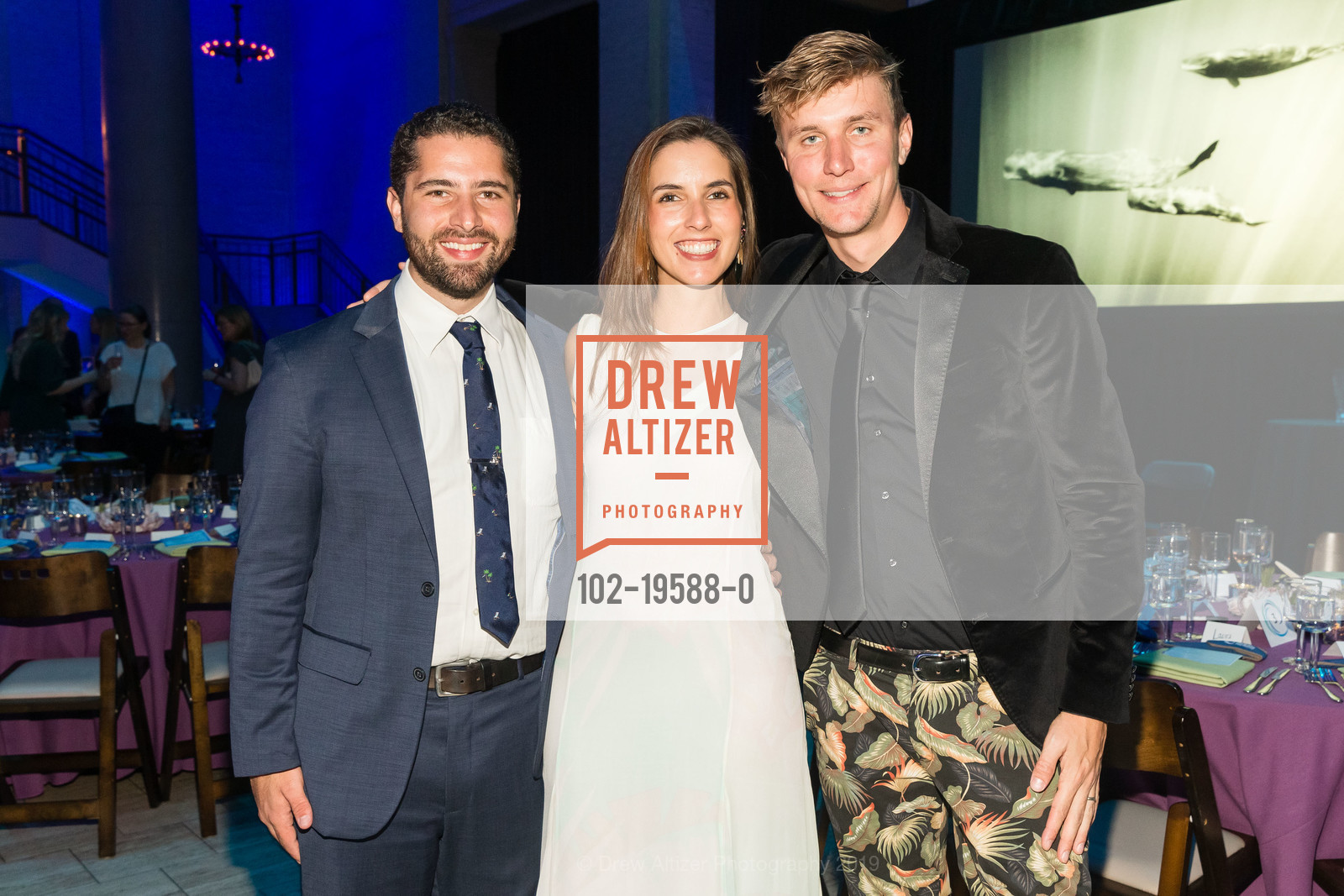 Sebastian Nichols, Luisa Paganini, Brett Loveman, Photo #102-19588-0