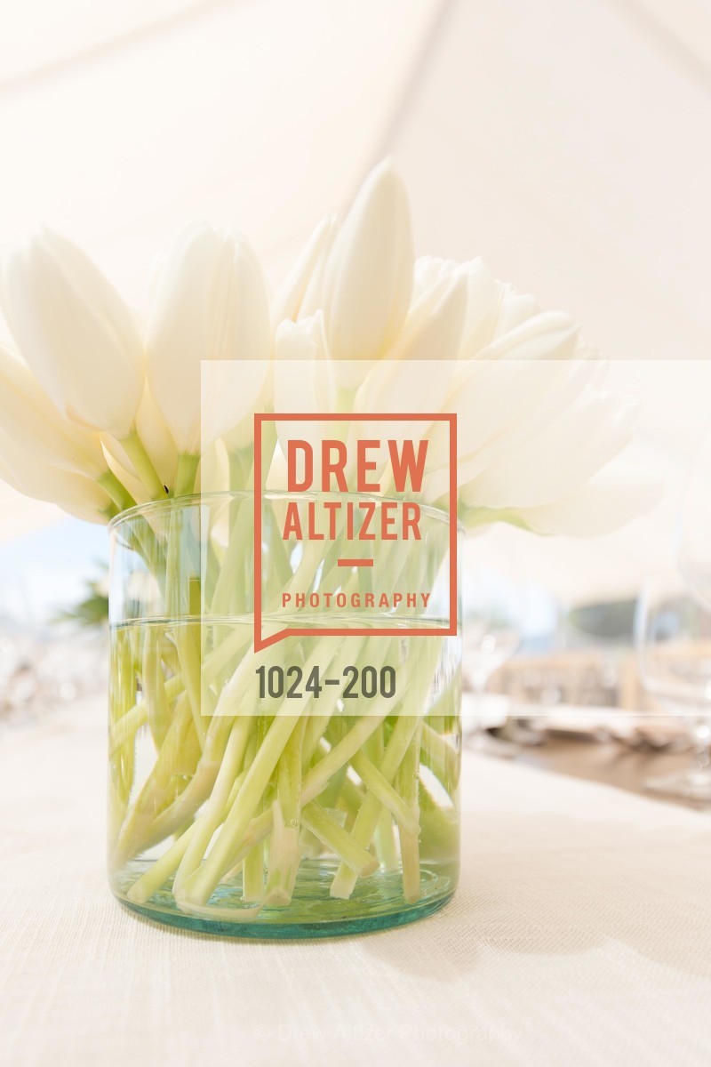 Atmosphere, Festival del Sole Brunello Cucinelli Luncheon Hosted by Hall Wines and Neiman Marcus, P\. 56 Auberge Rd, July 19th, 2015,Drew Altizer, Drew Altizer Photography, full-service agency, private events, San Francisco photographer, photographer california
