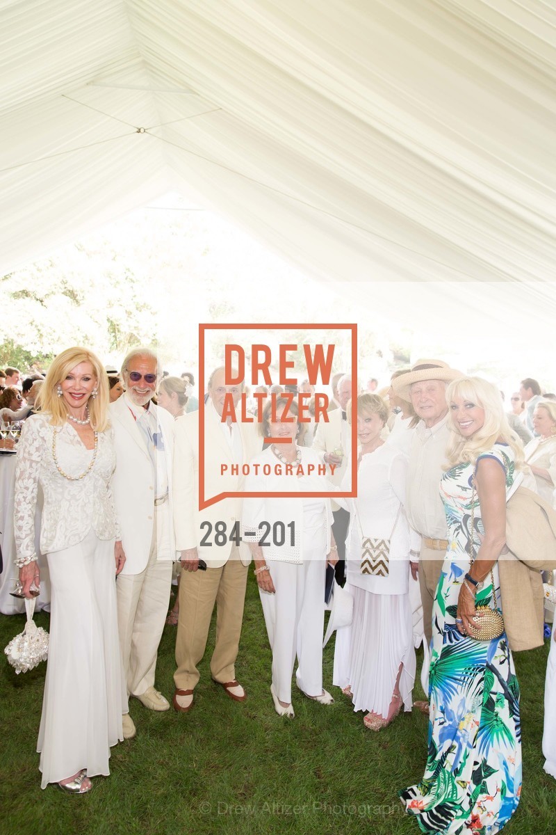 Pamala Deikel, Ted Deikel, Ron Wornick, Anita Wornick, Roberta Sherman, Gerry Grodsky, Daru Kawalkowski, Festival del Sole Annual Gala at Meadowood Napa Valley, Meadowood Napa Valley. 900 Meadowood Ln, July 19th, 2015,Drew Altizer, Drew Altizer Photography, full-service agency, private events, San Francisco photographer, photographer california