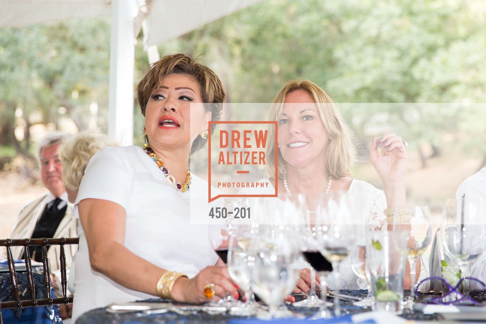 Rosalina Lydster, Denise Zanze, Festival del Sole Annual Gala at Meadowood Napa Valley, Meadowood Napa Valley. 900 Meadowood Ln, July 19th, 2015,Drew Altizer, Drew Altizer Photography, full-service agency, private events, San Francisco photographer, photographer california