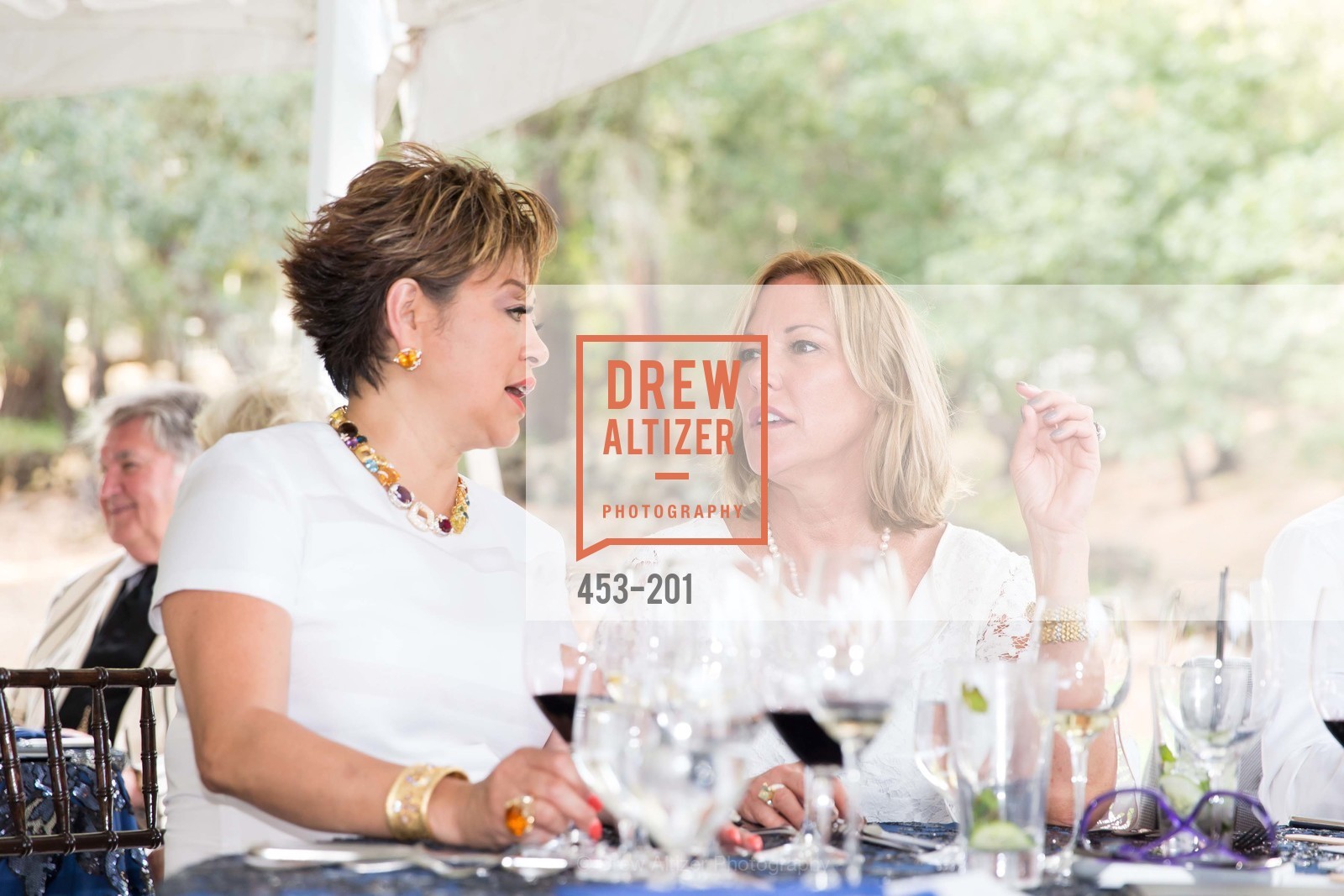 Rosalina Lydster, Denise Zanze, Festival del Sole Annual Gala at Meadowood Napa Valley, Meadowood Napa Valley. 900 Meadowood Ln, July 19th, 2015,Drew Altizer, Drew Altizer Photography, full-service agency, private events, San Francisco photographer, photographer california