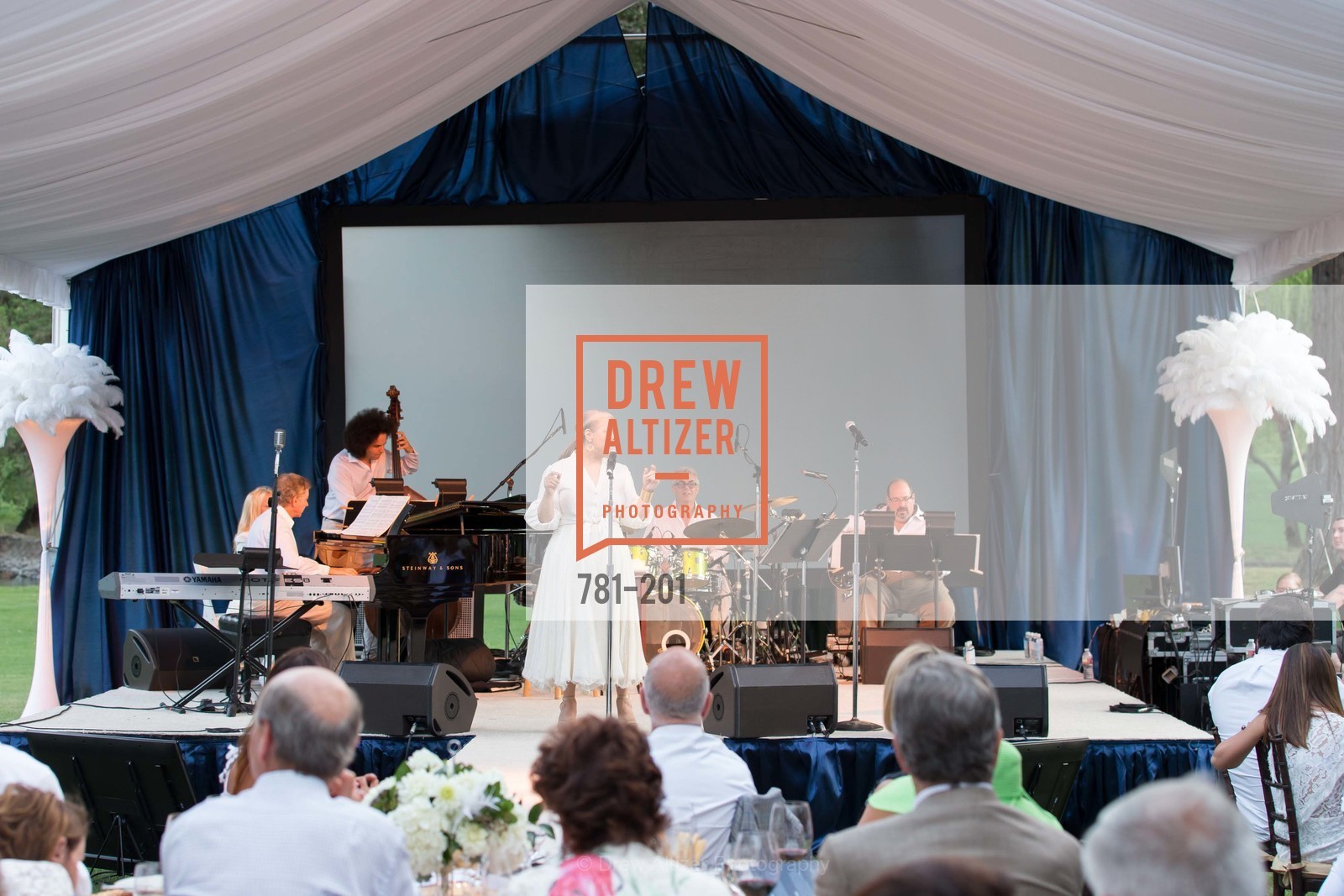 Patti Austin, Festival del Sole Annual Gala at Meadowood Napa Valley, Meadowood Napa Valley. 900 Meadowood Ln, July 19th, 2015,Drew Altizer, Drew Altizer Photography, full-service agency, private events, San Francisco photographer, photographer california
