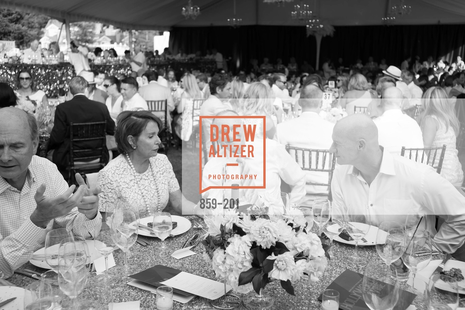 Nancy Pelosi, Jan Shrem, Festival del Sole Annual Gala at Meadowood Napa Valley, Meadowood Napa Valley. 900 Meadowood Ln, July 19th, 2015,Drew Altizer, Drew Altizer Photography, full-service agency, private events, San Francisco photographer, photographer california