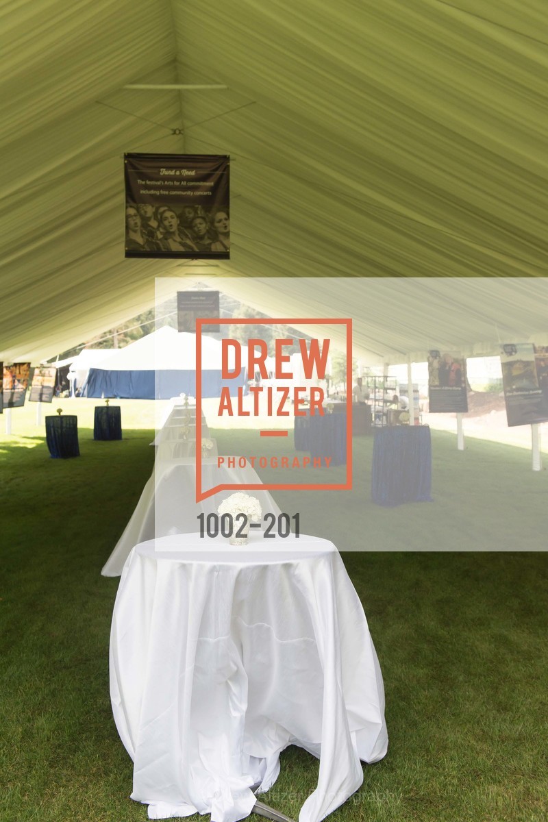 Atmosphere, Festival del Sole Annual Gala at Meadowood Napa Valley, Meadowood Napa Valley. 900 Meadowood Ln, July 19th, 2015,Drew Altizer, Drew Altizer Photography, full-service agency, private events, San Francisco photographer, photographer california