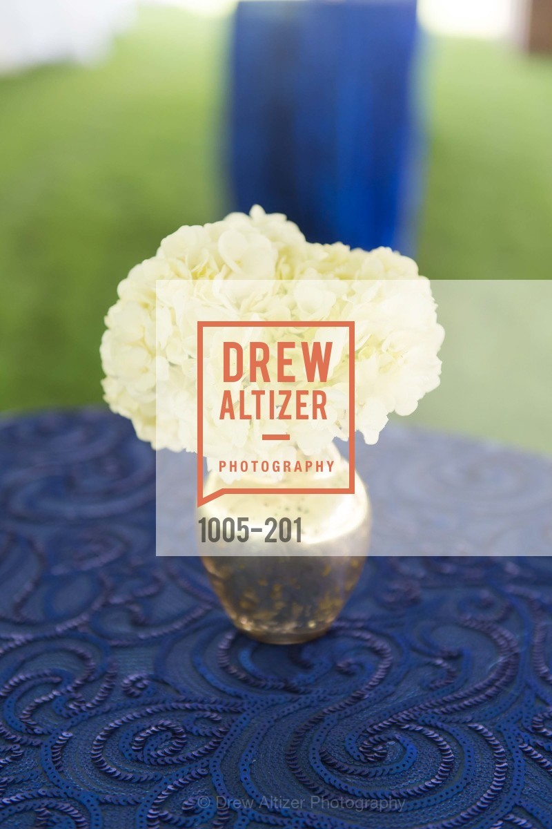 Atmosphere, Festival del Sole Annual Gala at Meadowood Napa Valley, Meadowood Napa Valley. 900 Meadowood Ln, July 19th, 2015,Drew Altizer, Drew Altizer Photography, full-service event agency, private events, San Francisco photographer, photographer California