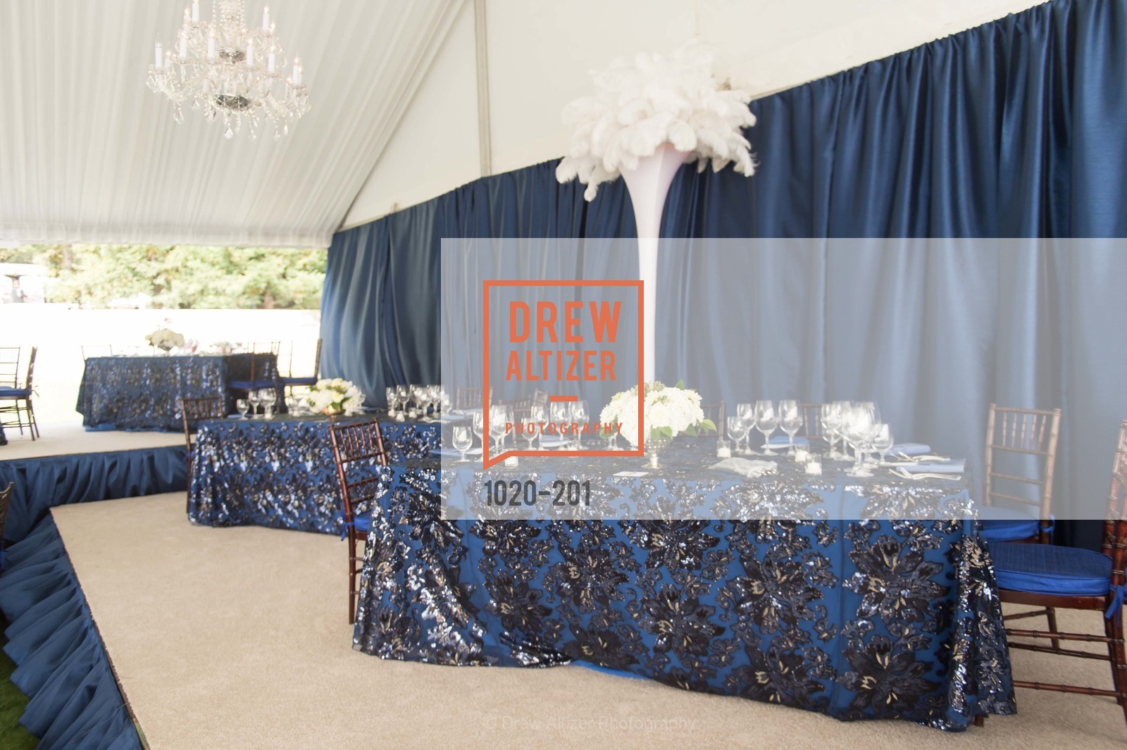 Atmosphere, Festival del Sole Annual Gala at Meadowood Napa Valley, Meadowood Napa Valley. 900 Meadowood Ln, July 19th, 2015,Drew Altizer, Drew Altizer Photography, full-service agency, private events, San Francisco photographer, photographer california