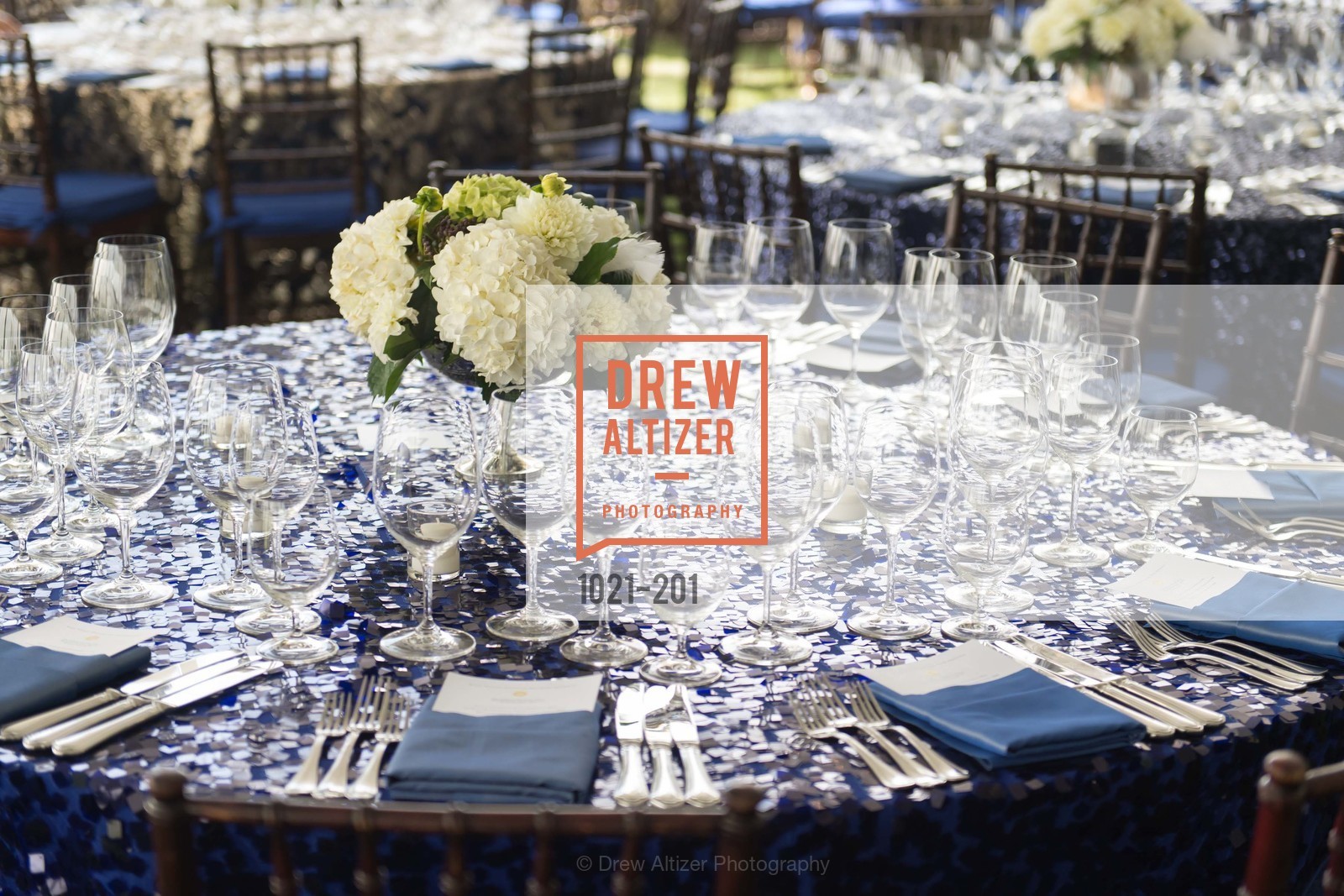 Atmosphere, Festival del Sole Annual Gala at Meadowood Napa Valley, Meadowood Napa Valley. 900 Meadowood Ln, July 19th, 2015,Drew Altizer, Drew Altizer Photography, full-service agency, private events, San Francisco photographer, photographer california