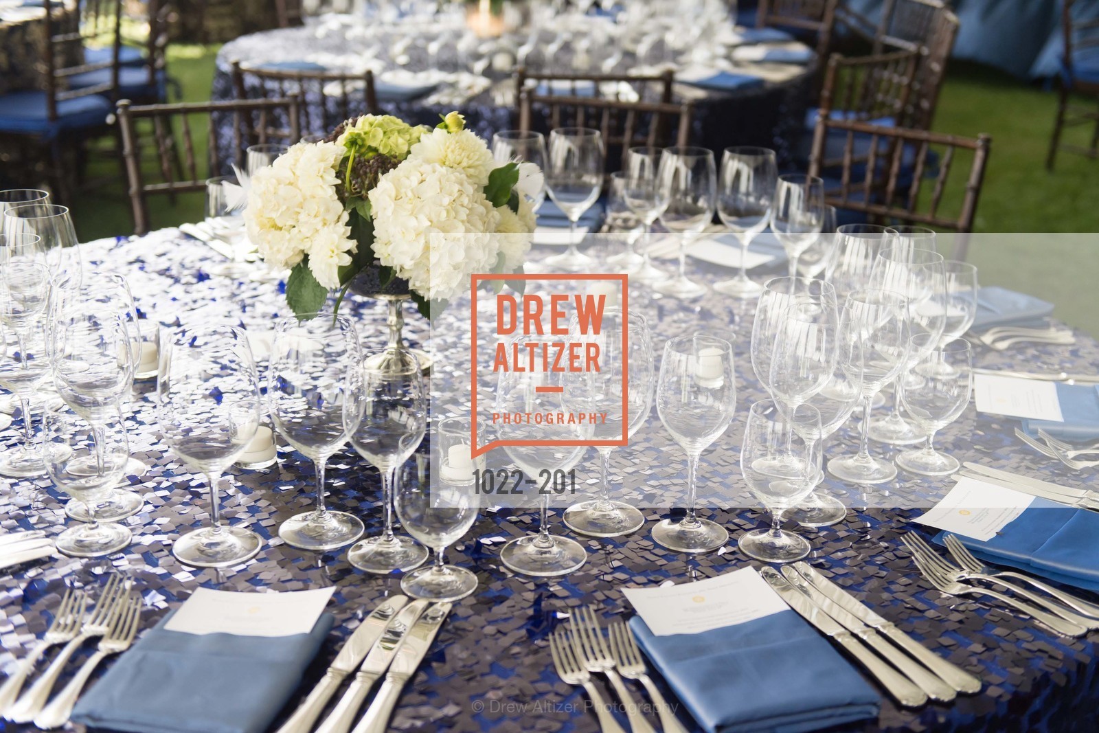 Atmosphere, Festival del Sole Annual Gala at Meadowood Napa Valley, Meadowood Napa Valley. 900 Meadowood Ln, July 19th, 2015,Drew Altizer, Drew Altizer Photography, full-service agency, private events, San Francisco photographer, photographer california