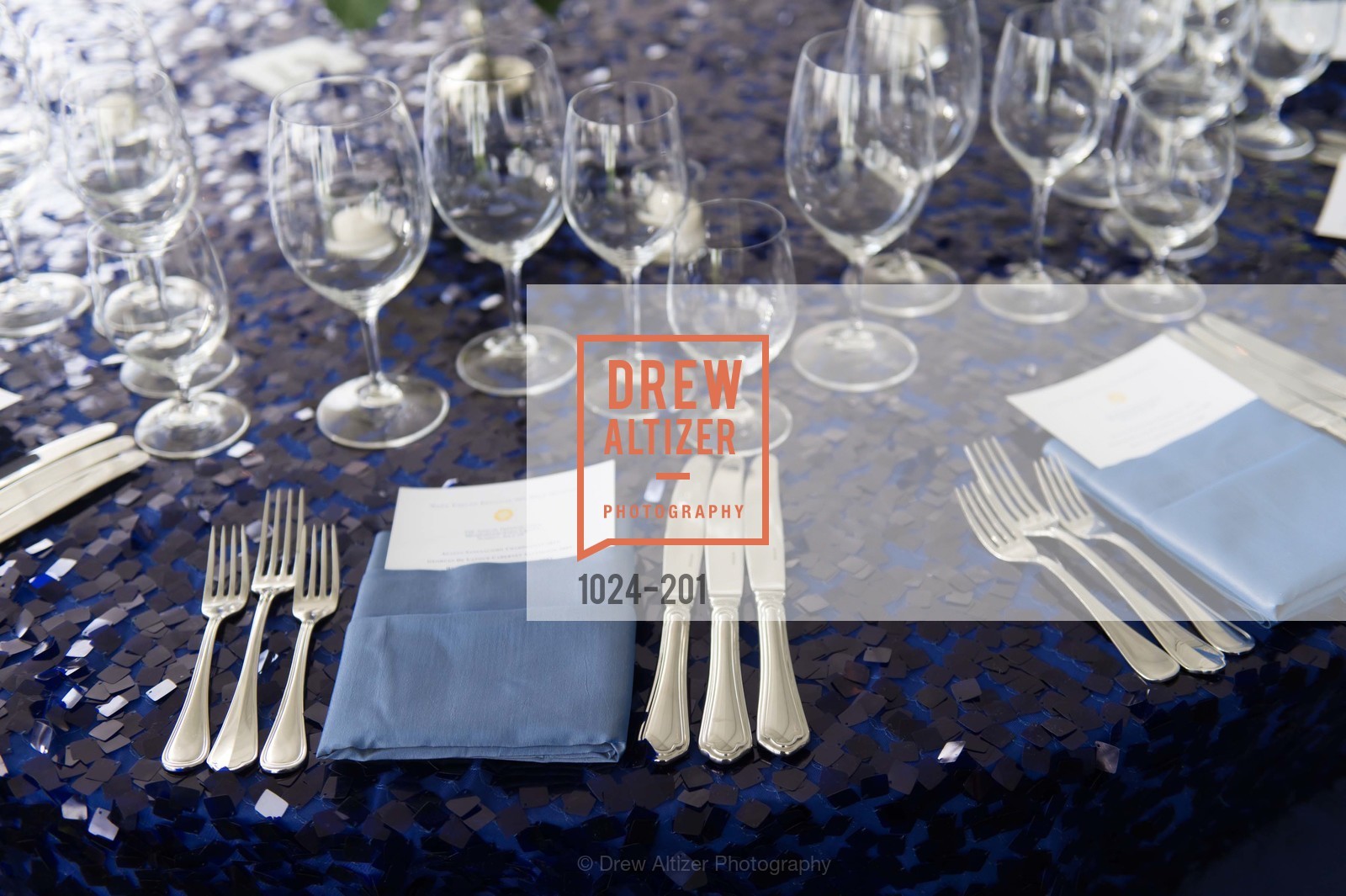 Atmosphere, Festival del Sole Annual Gala at Meadowood Napa Valley, Meadowood Napa Valley. 900 Meadowood Ln, July 19th, 2015,Drew Altizer, Drew Altizer Photography, full-service agency, private events, San Francisco photographer, photographer california