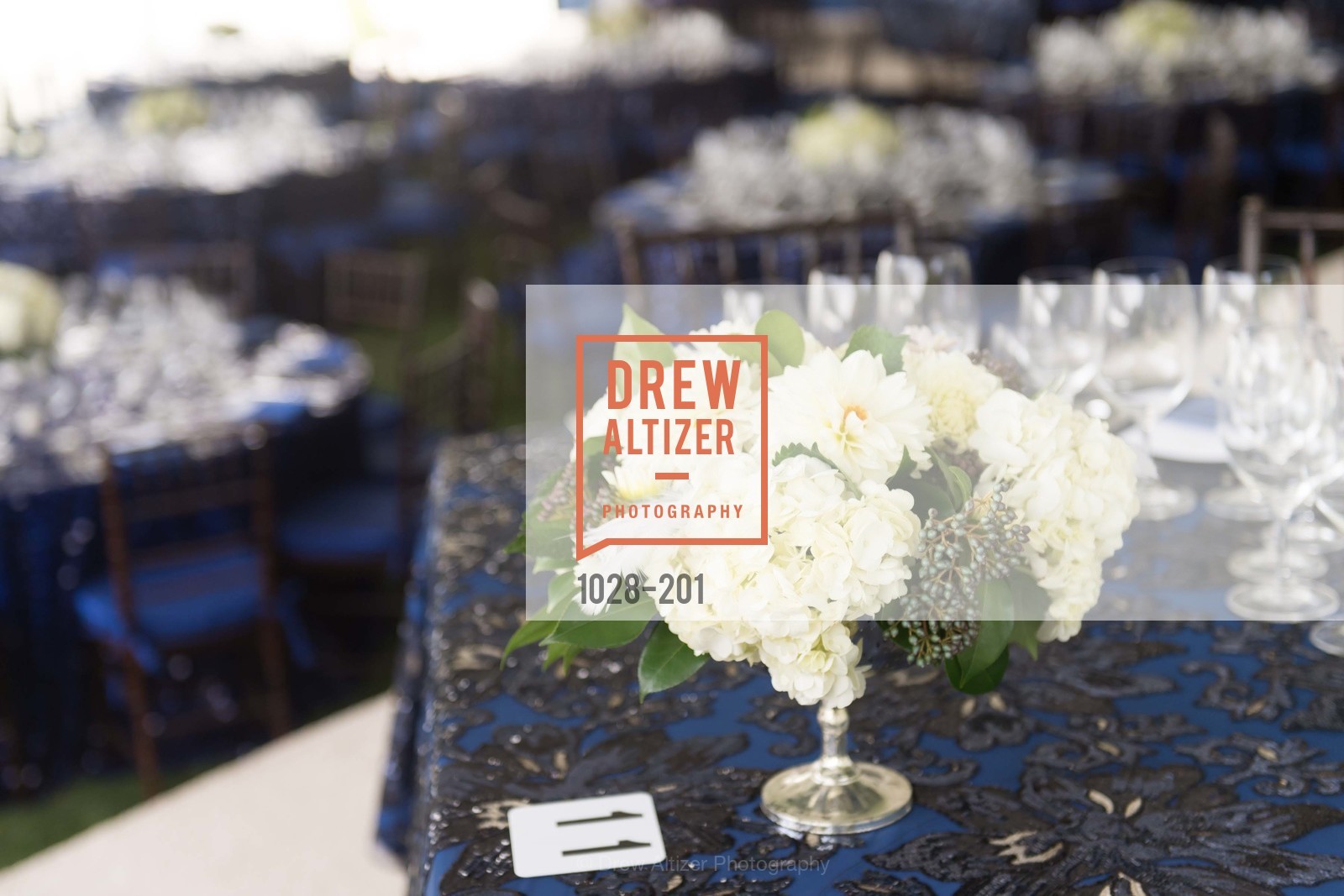 Atmosphere, Festival del Sole Annual Gala at Meadowood Napa Valley, Meadowood Napa Valley. 900 Meadowood Ln, July 19th, 2015,Drew Altizer, Drew Altizer Photography, full-service agency, private events, San Francisco photographer, photographer california