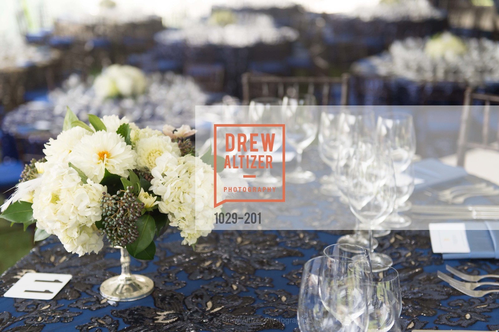 Atmosphere, Festival del Sole Annual Gala at Meadowood Napa Valley, Meadowood Napa Valley. 900 Meadowood Ln, July 19th, 2015,Drew Altizer, Drew Altizer Photography, full-service agency, private events, San Francisco photographer, photographer california