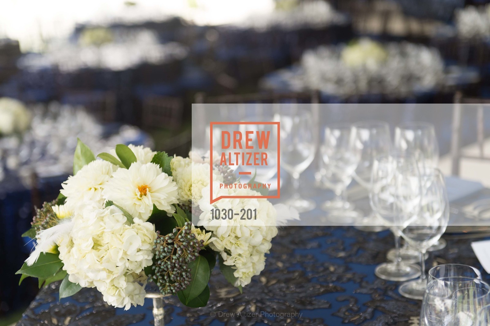 Atmosphere, Festival del Sole Annual Gala at Meadowood Napa Valley, Meadowood Napa Valley. 900 Meadowood Ln, July 19th, 2015,Drew Altizer, Drew Altizer Photography, full-service agency, private events, San Francisco photographer, photographer california