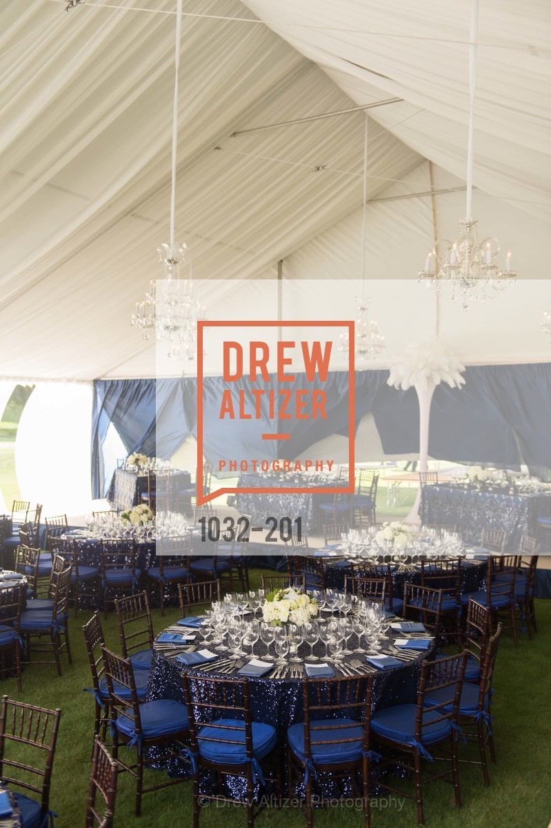 Atmosphere, Festival del Sole Annual Gala at Meadowood Napa Valley, Meadowood Napa Valley. 900 Meadowood Ln, July 19th, 2015,Drew Altizer, Drew Altizer Photography, full-service agency, private events, San Francisco photographer, photographer california
