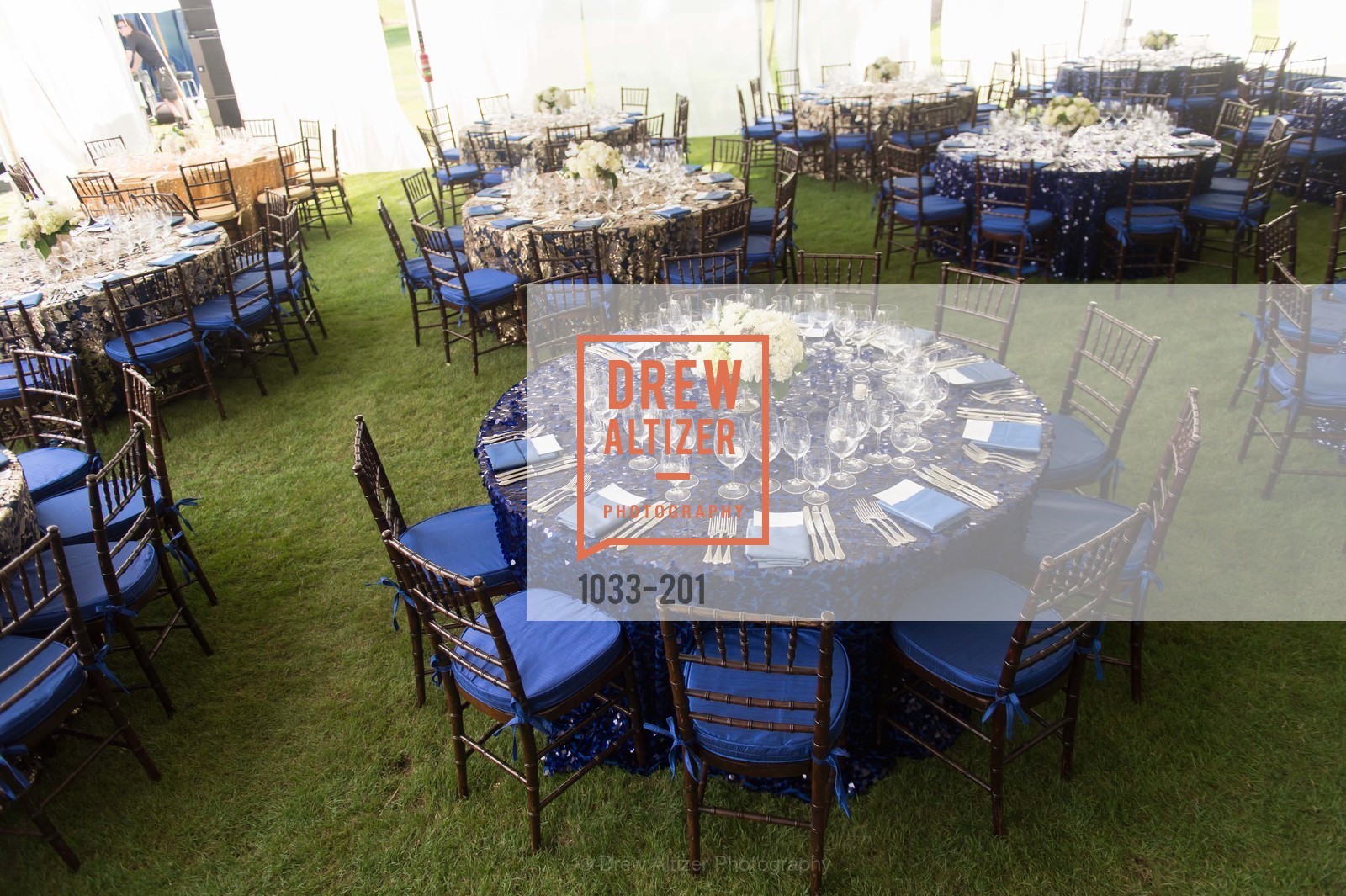 Atmosphere, Festival del Sole Annual Gala at Meadowood Napa Valley, Meadowood Napa Valley. 900 Meadowood Ln, July 19th, 2015,Drew Altizer, Drew Altizer Photography, full-service agency, private events, San Francisco photographer, photographer california