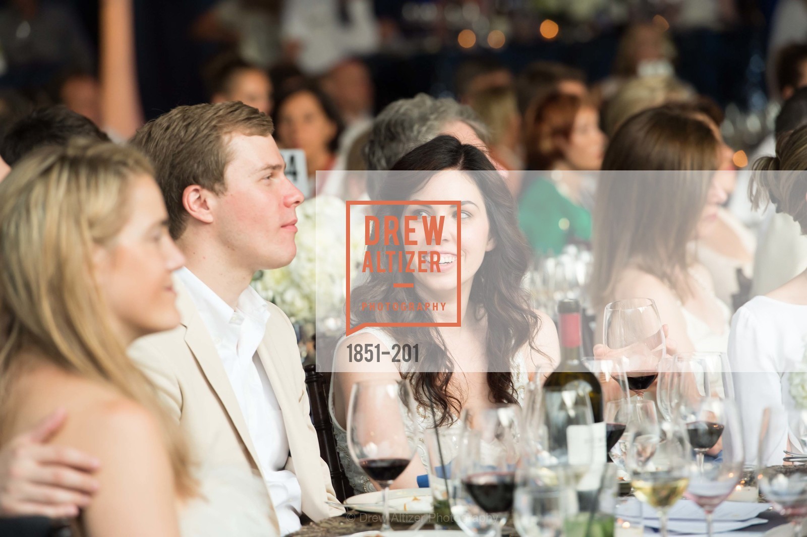 Extras, Festival del Sole Annual Gala at Meadowood Napa Valley, July 19th, 2015, Photo,Drew Altizer, Drew Altizer Photography, full-service event agency, private events, San Francisco photographer, photographer California