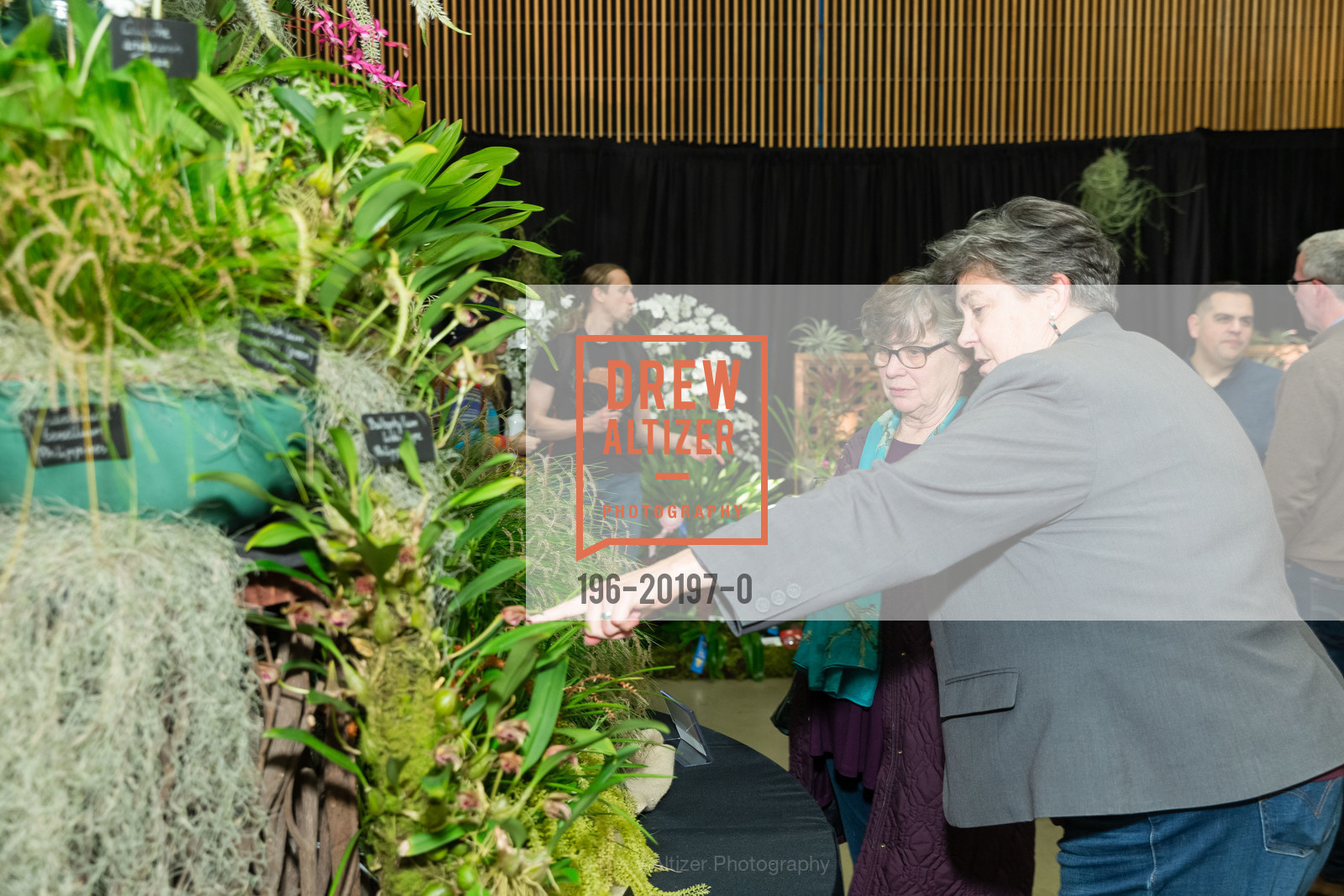 Glenda Humiston, Grace Flannery, 68th Annual Pacific Orchid Exposition 2020, San Francisco County Fair Building. 1199 9th Avenue, Photo #196-20197-0 Glenda Humiston, Grace Flannery, Photo #196-20197-0