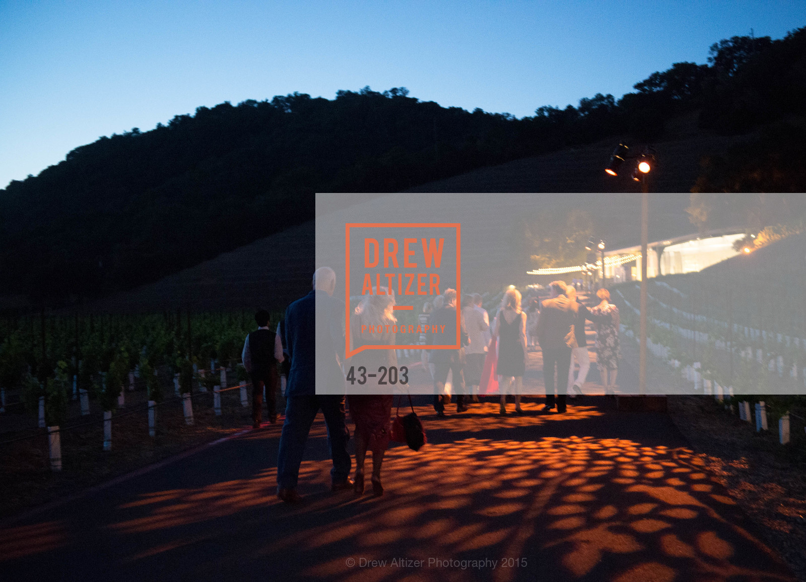 Atmosphere, Festival del Sole Patron Dinner at Odette Estate, Odette Estate. 5998 Silverado Trail, July 26th, 2015,Drew Altizer, Drew Altizer Photography, full-service agency, private events, San Francisco photographer, photographer california