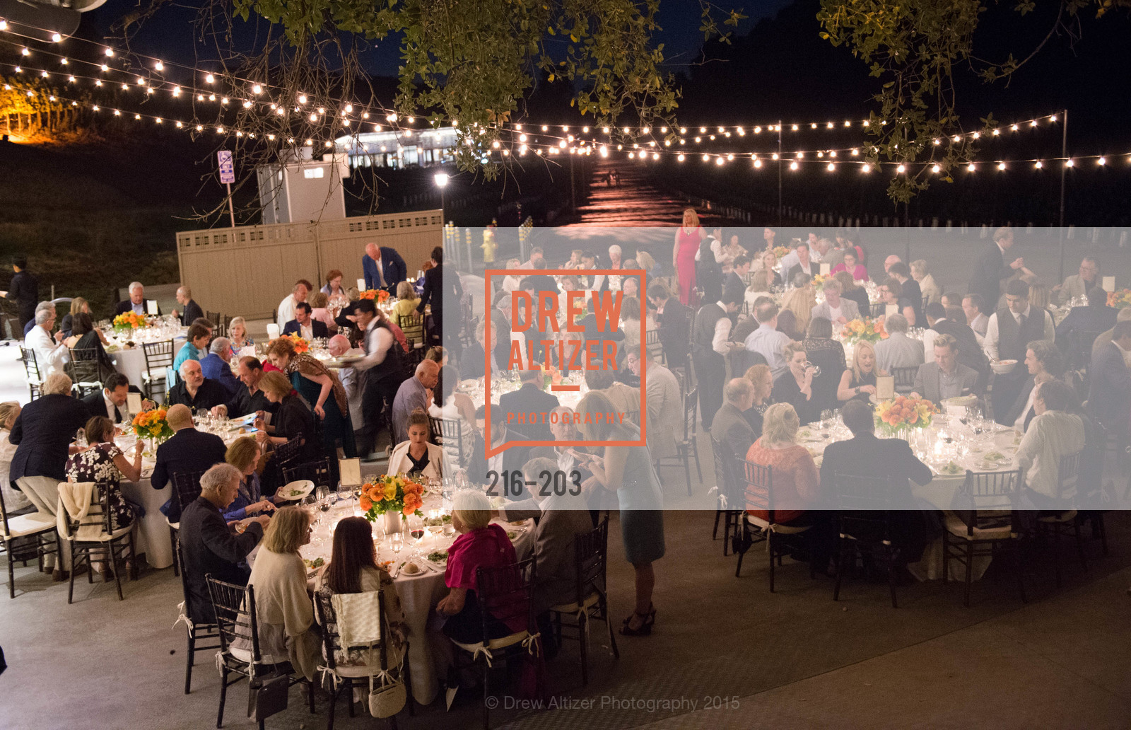 Atmosphere, Festival del Sole Patron Dinner at Odette Estate, Odette Estate. 5998 Silverado Trail, July 26th, 2015,Drew Altizer, Drew Altizer Photography, full-service event agency, private events, San Francisco photographer, photographer California