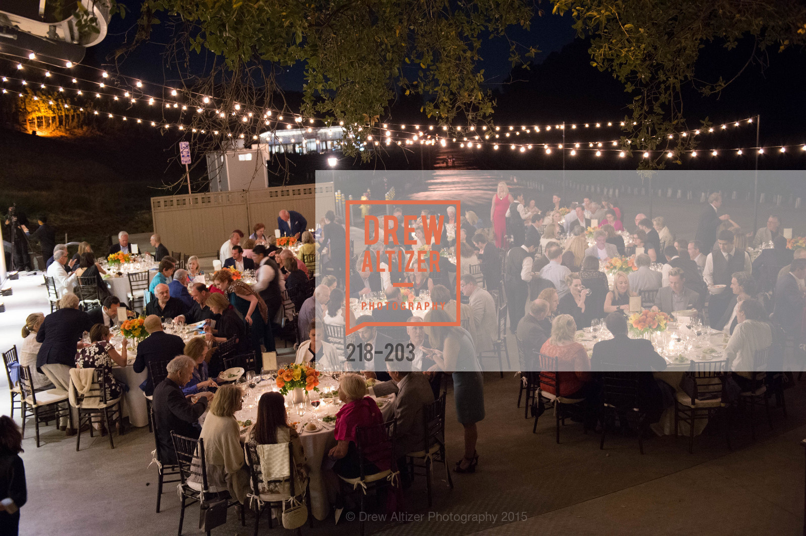 Atmosphere, Festival del Sole Patron Dinner at Odette Estate, Odette Estate. 5998 Silverado Trail, July 26th, 2015,Drew Altizer, Drew Altizer Photography, full-service agency, private events, San Francisco photographer, photographer california