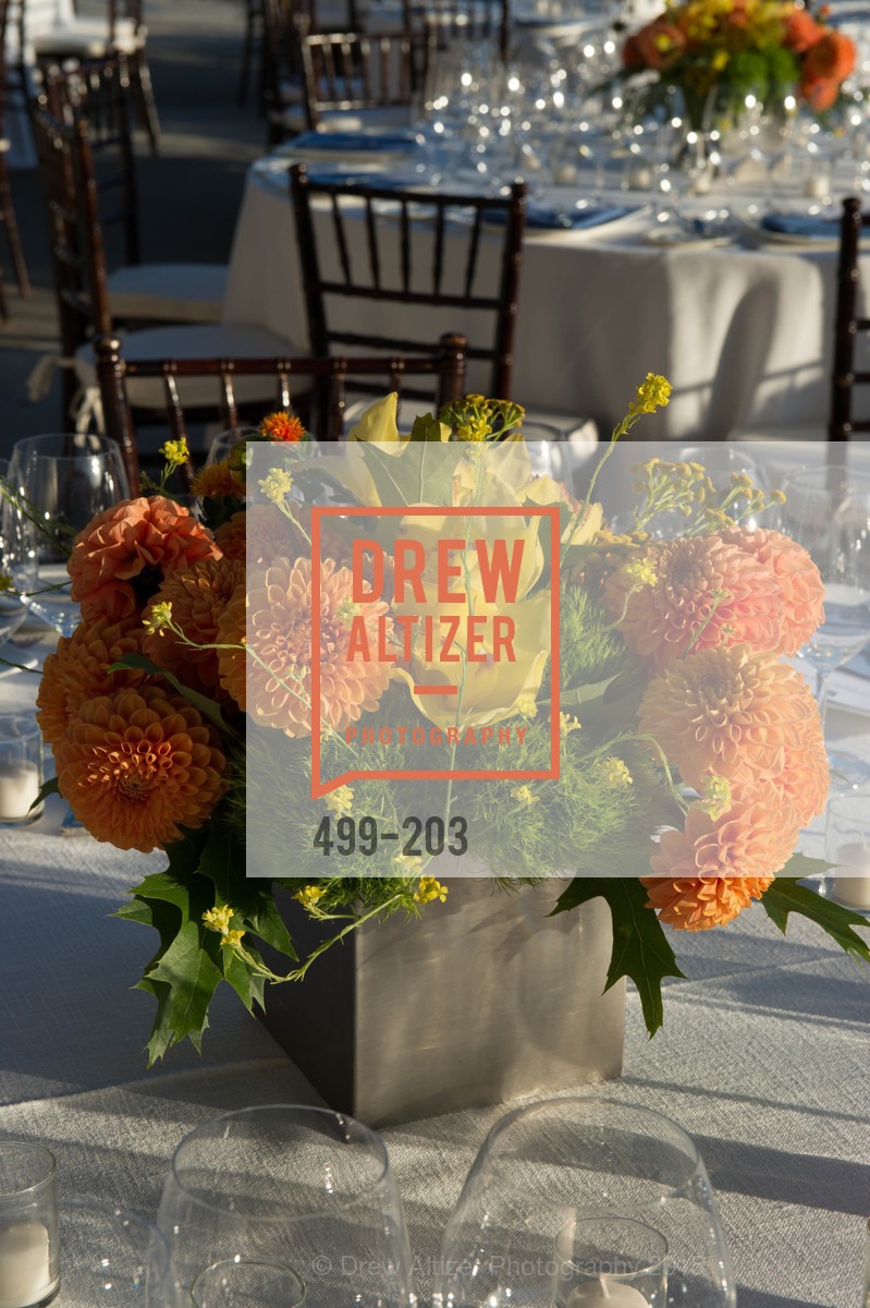 Atmosphere, Festival del Sole Patron Dinner at Odette Estate, Odette Estate. 5998 Silverado Trail, July 26th, 2015,Drew Altizer, Drew Altizer Photography, full-service agency, private events, San Francisco photographer, photographer california