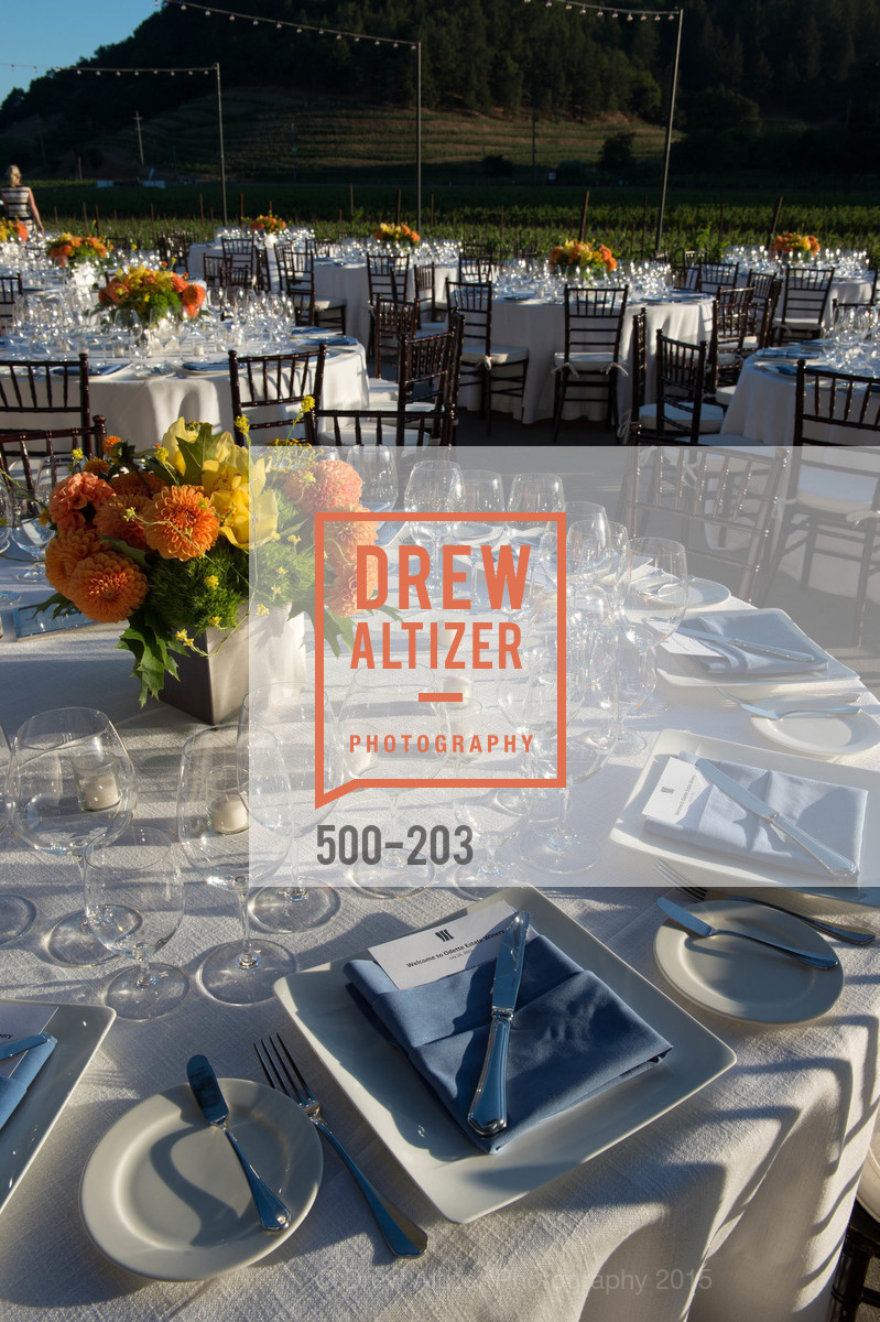 Atmosphere, Festival del Sole Patron Dinner at Odette Estate, Odette Estate. 5998 Silverado Trail, July 26th, 2015,Drew Altizer, Drew Altizer Photography, full-service agency, private events, San Francisco photographer, photographer california