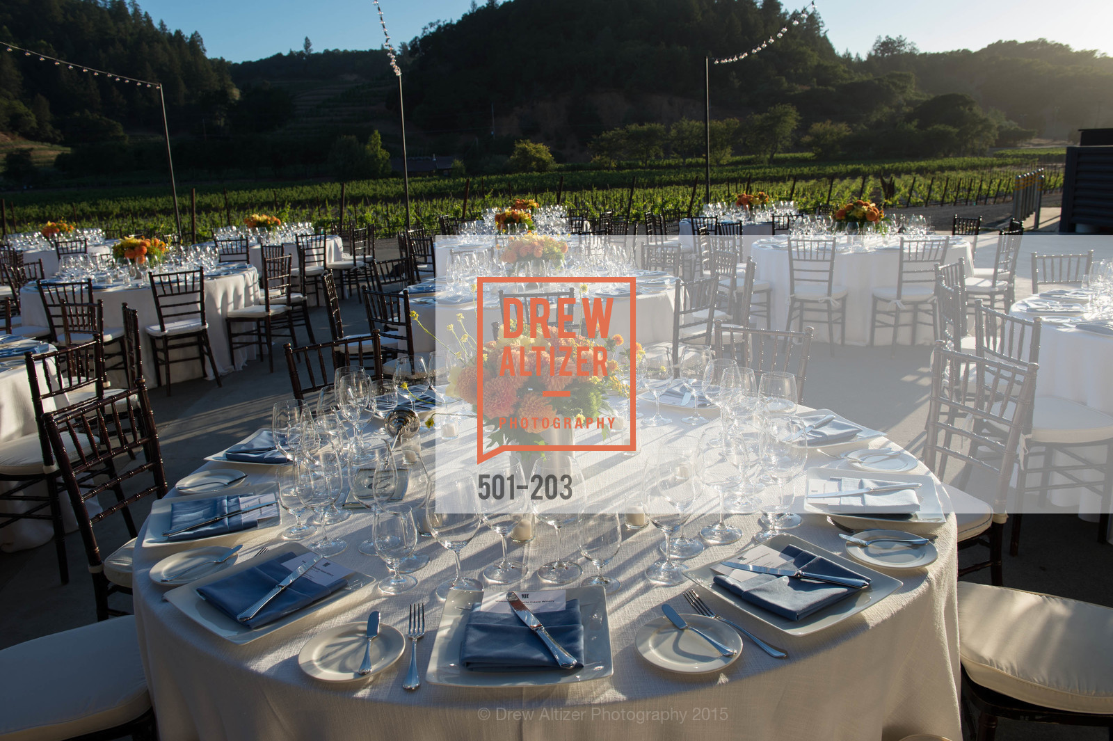 Atmosphere, Festival del Sole Patron Dinner at Odette Estate, Odette Estate. 5998 Silverado Trail, July 26th, 2015,Drew Altizer, Drew Altizer Photography, full-service agency, private events, San Francisco photographer, photographer california