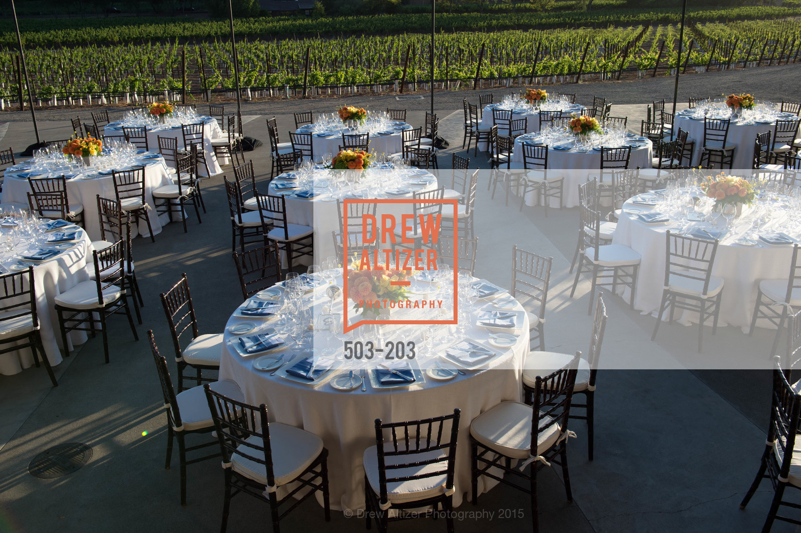 Atmosphere, Festival del Sole Patron Dinner at Odette Estate, Odette Estate. 5998 Silverado Trail, July 26th, 2015,Drew Altizer, Drew Altizer Photography, full-service agency, private events, San Francisco photographer, photographer california