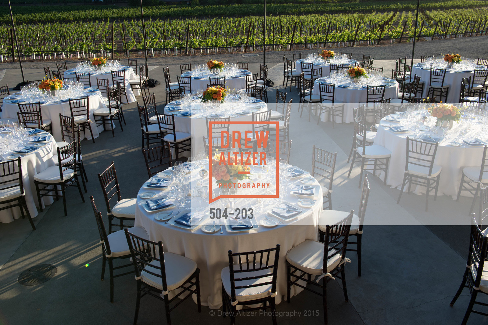Atmosphere, Festival del Sole Patron Dinner at Odette Estate, Odette Estate. 5998 Silverado Trail, July 26th, 2015,Drew Altizer, Drew Altizer Photography, full-service agency, private events, San Francisco photographer, photographer california