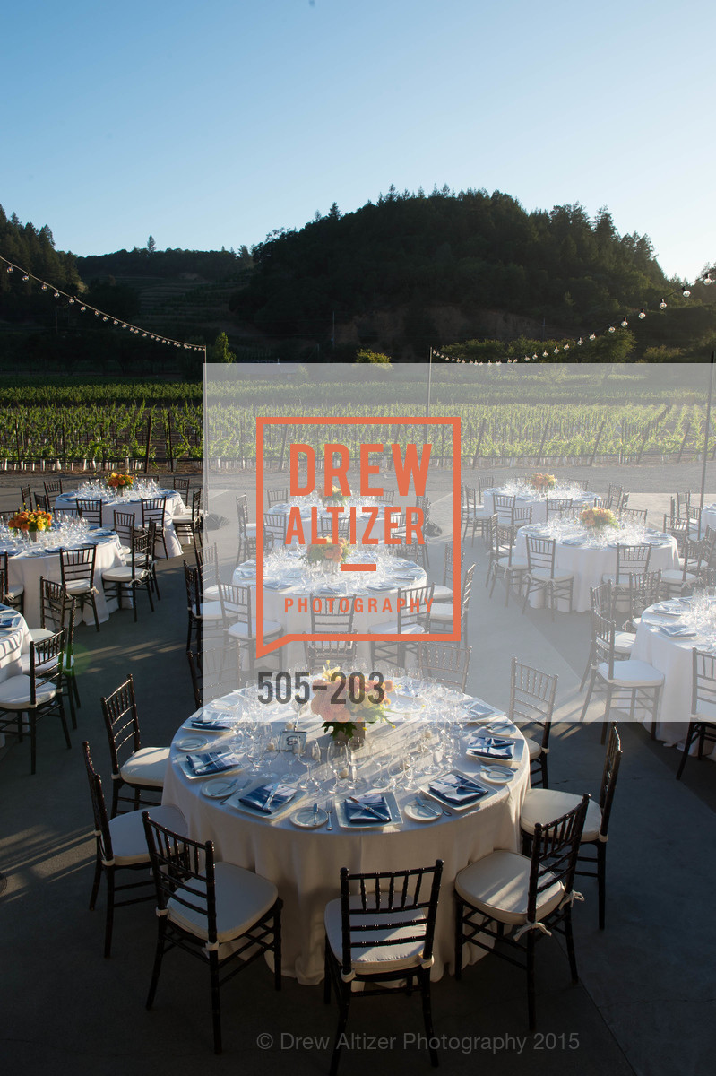 Atmosphere, Festival del Sole Patron Dinner at Odette Estate, Odette Estate. 5998 Silverado Trail, July 26th, 2015,Drew Altizer, Drew Altizer Photography, full-service agency, private events, San Francisco photographer, photographer california