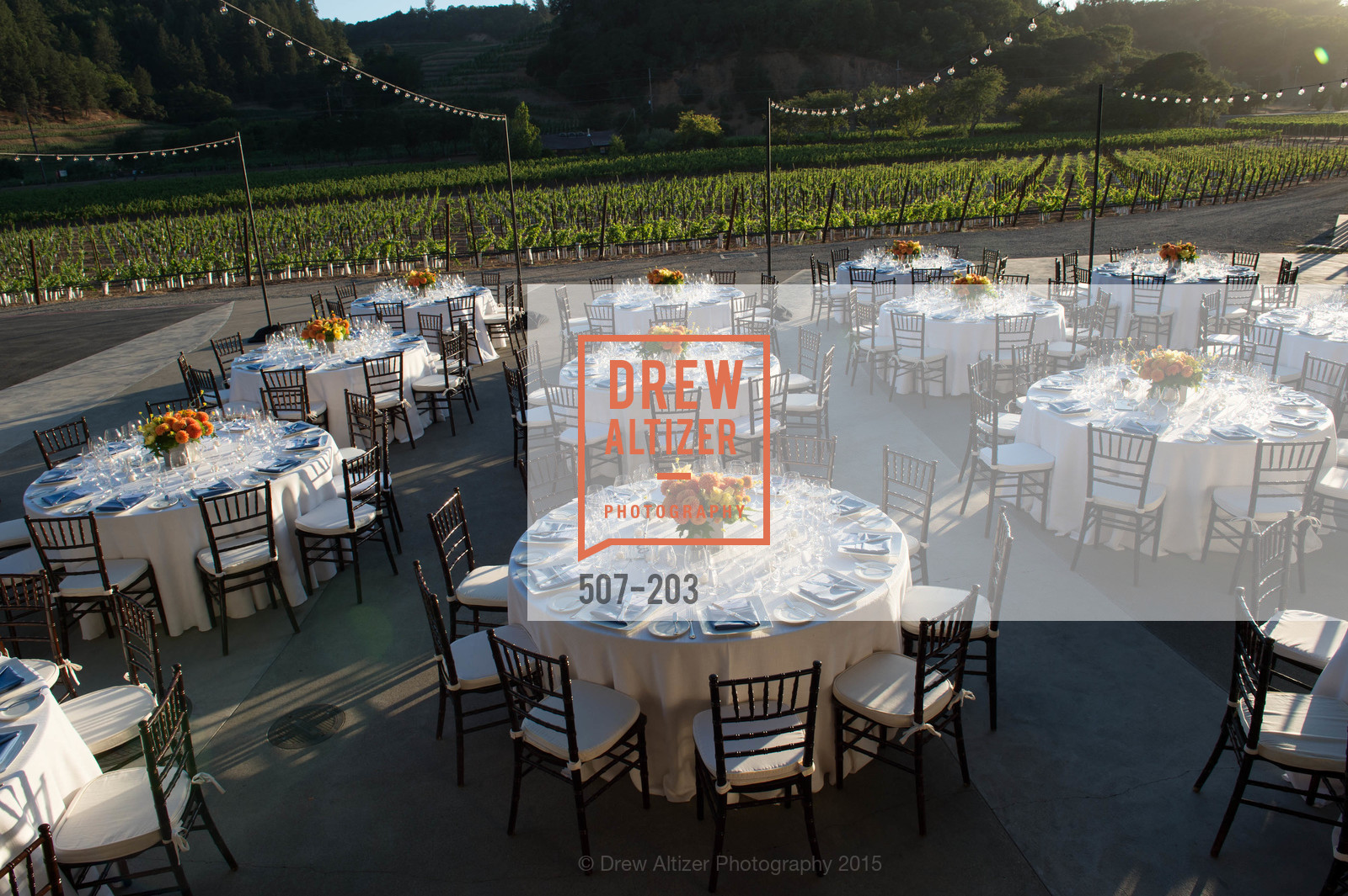 Atmosphere, Festival del Sole Patron Dinner at Odette Estate, Odette Estate. 5998 Silverado Trail, July 26th, 2015,Drew Altizer, Drew Altizer Photography, full-service agency, private events, San Francisco photographer, photographer california