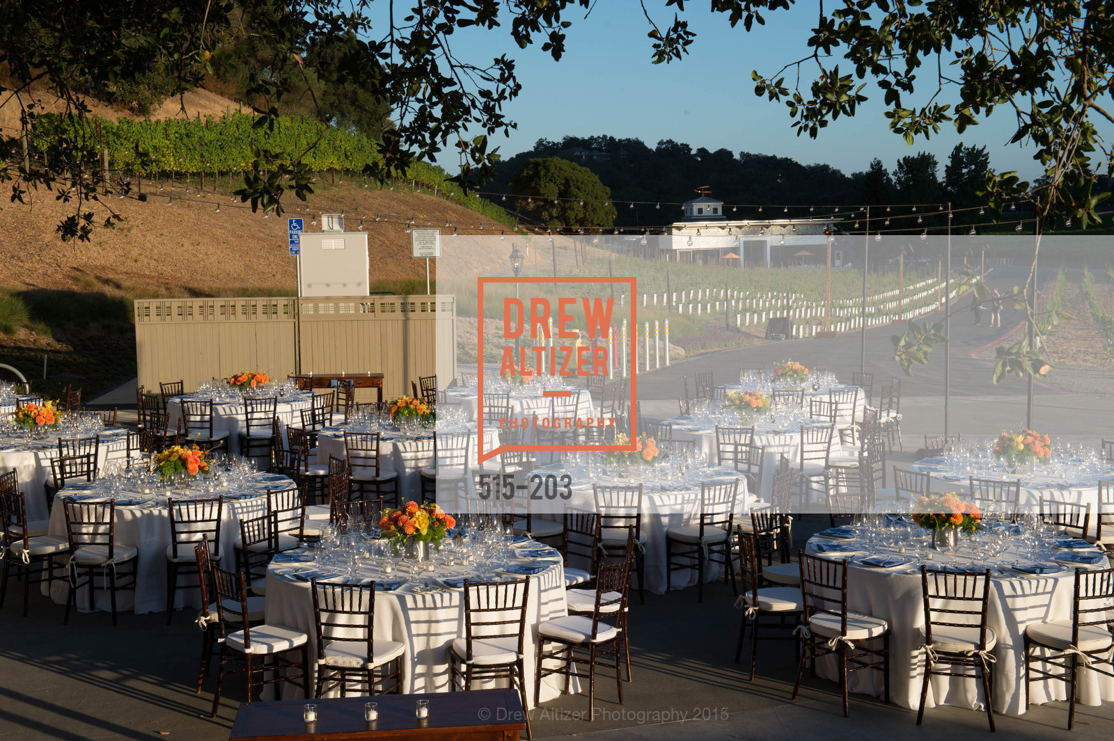 Atmosphere, Festival del Sole Patron Dinner at Odette Estate, Odette Estate. 5998 Silverado Trail, July 26th, 2015,Drew Altizer, Drew Altizer Photography, full-service agency, private events, San Francisco photographer, photographer california