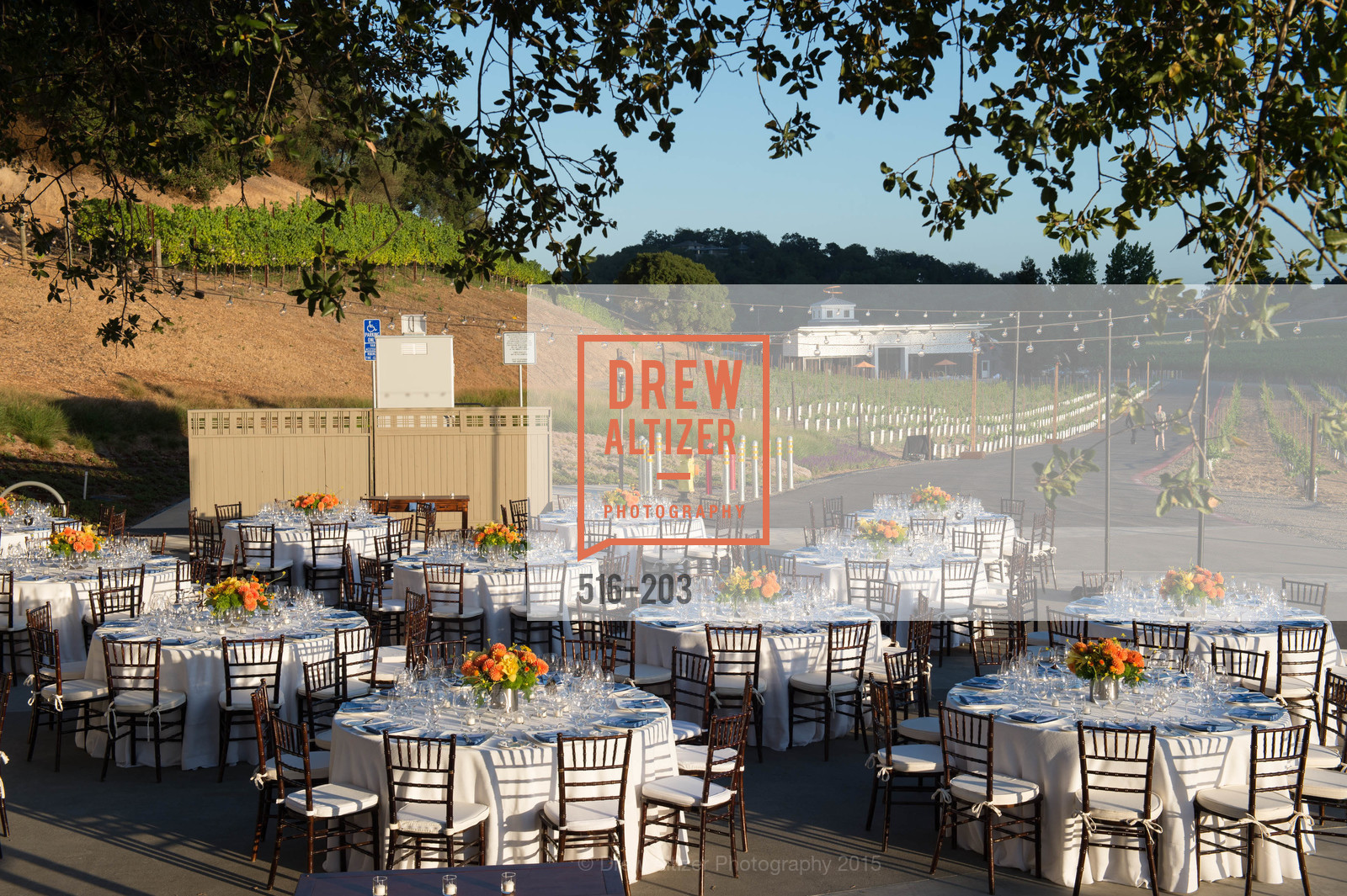 Atmosphere, Festival del Sole Patron Dinner at Odette Estate, Odette Estate. 5998 Silverado Trail, July 26th, 2015,Drew Altizer, Drew Altizer Photography, full-service agency, private events, San Francisco photographer, photographer california