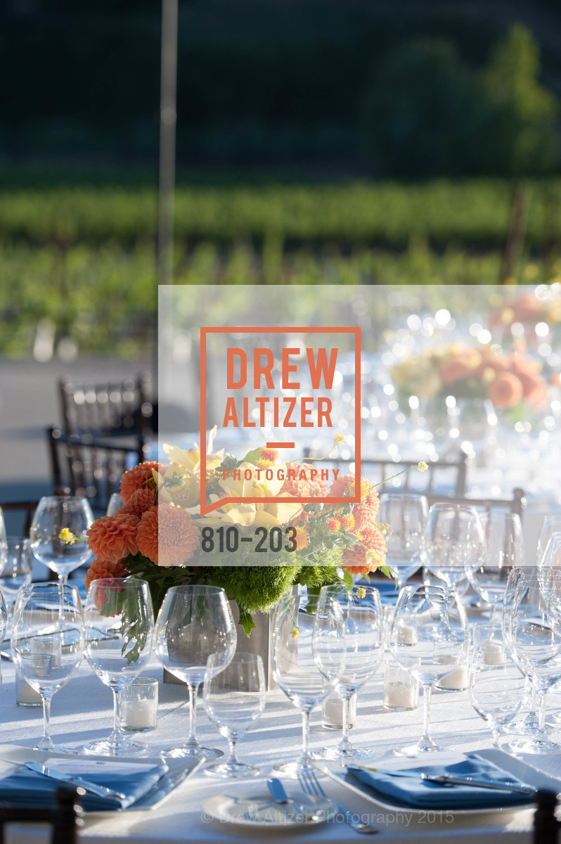 Atmosphere, Festival del Sole Patron Dinner at Odette Estate, Odette Estate. 5998 Silverado Trail, July 26th, 2015,Drew Altizer, Drew Altizer Photography, full-service agency, private events, San Francisco photographer, photographer california