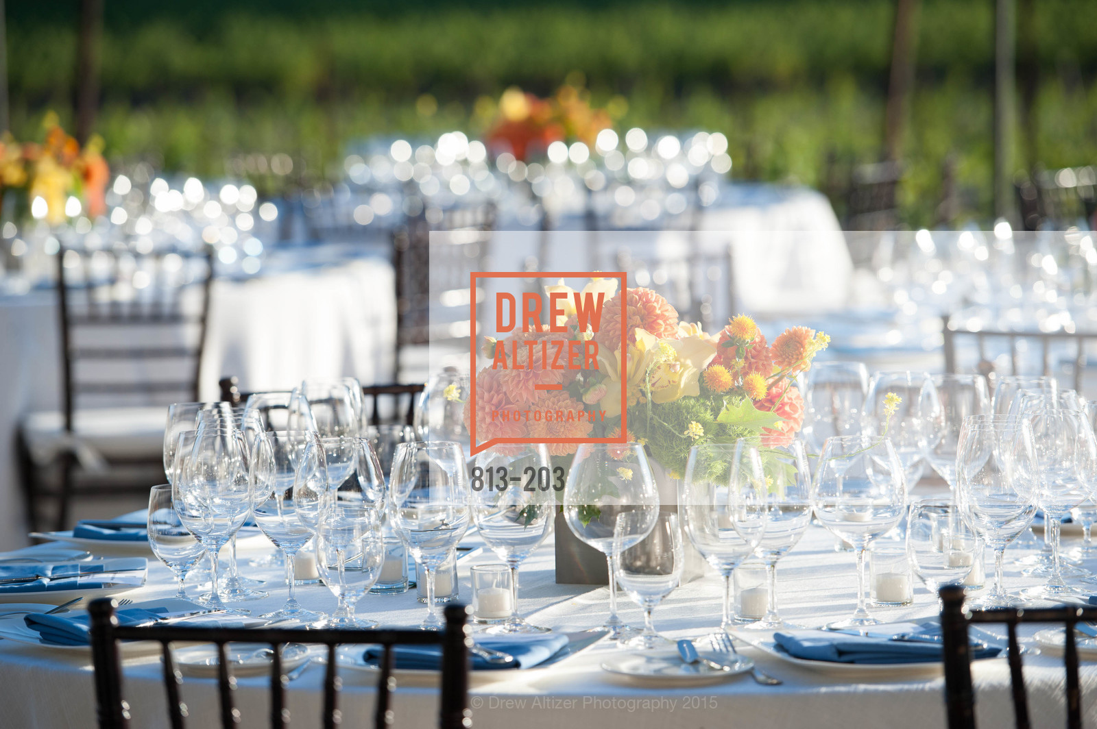 Atmosphere, Festival del Sole Patron Dinner at Odette Estate, Odette Estate. 5998 Silverado Trail, July 26th, 2015,Drew Altizer, Drew Altizer Photography, full-service agency, private events, San Francisco photographer, photographer california