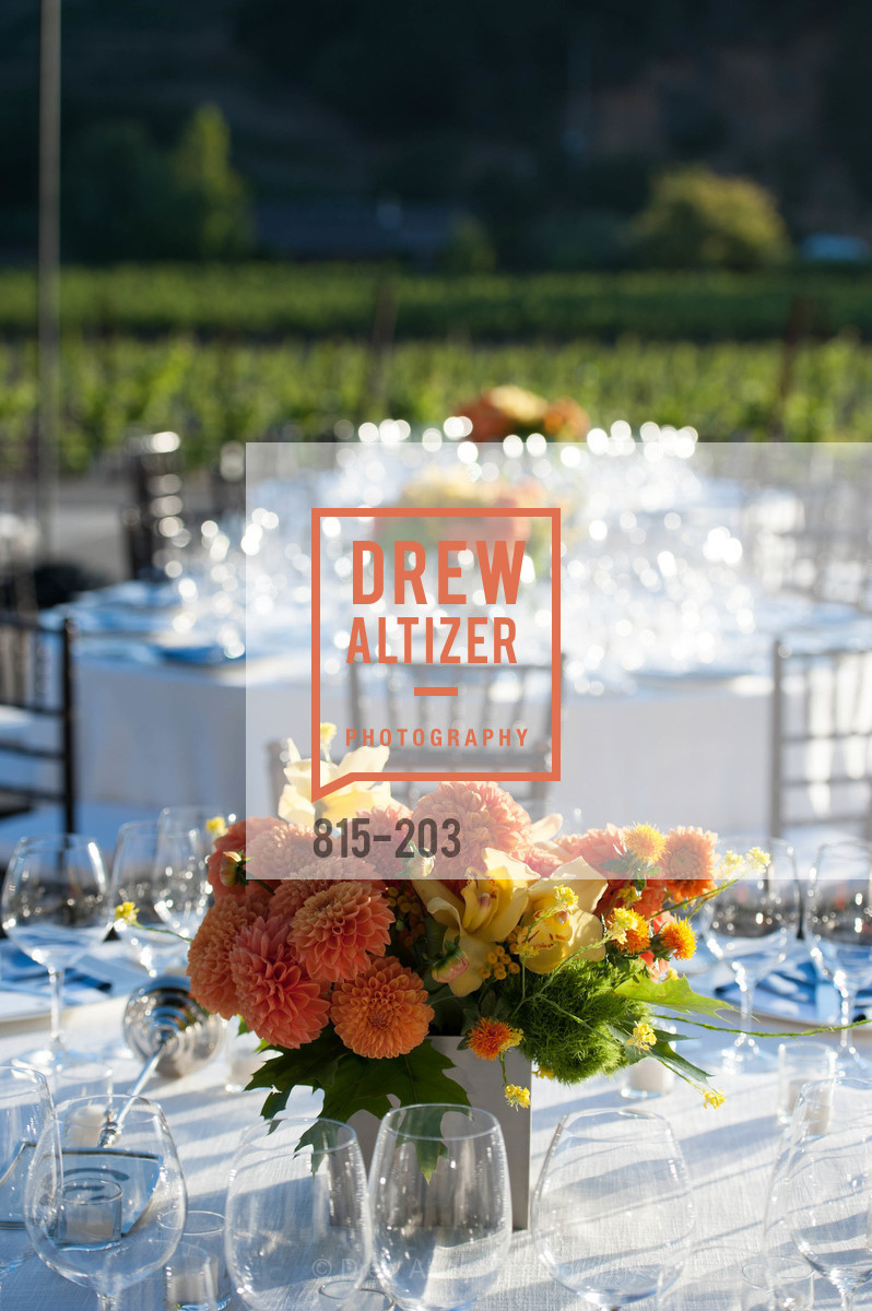 Atmosphere, Festival del Sole Patron Dinner at Odette Estate, Odette Estate. 5998 Silverado Trail, July 26th, 2015,Drew Altizer, Drew Altizer Photography, full-service agency, private events, San Francisco photographer, photographer california