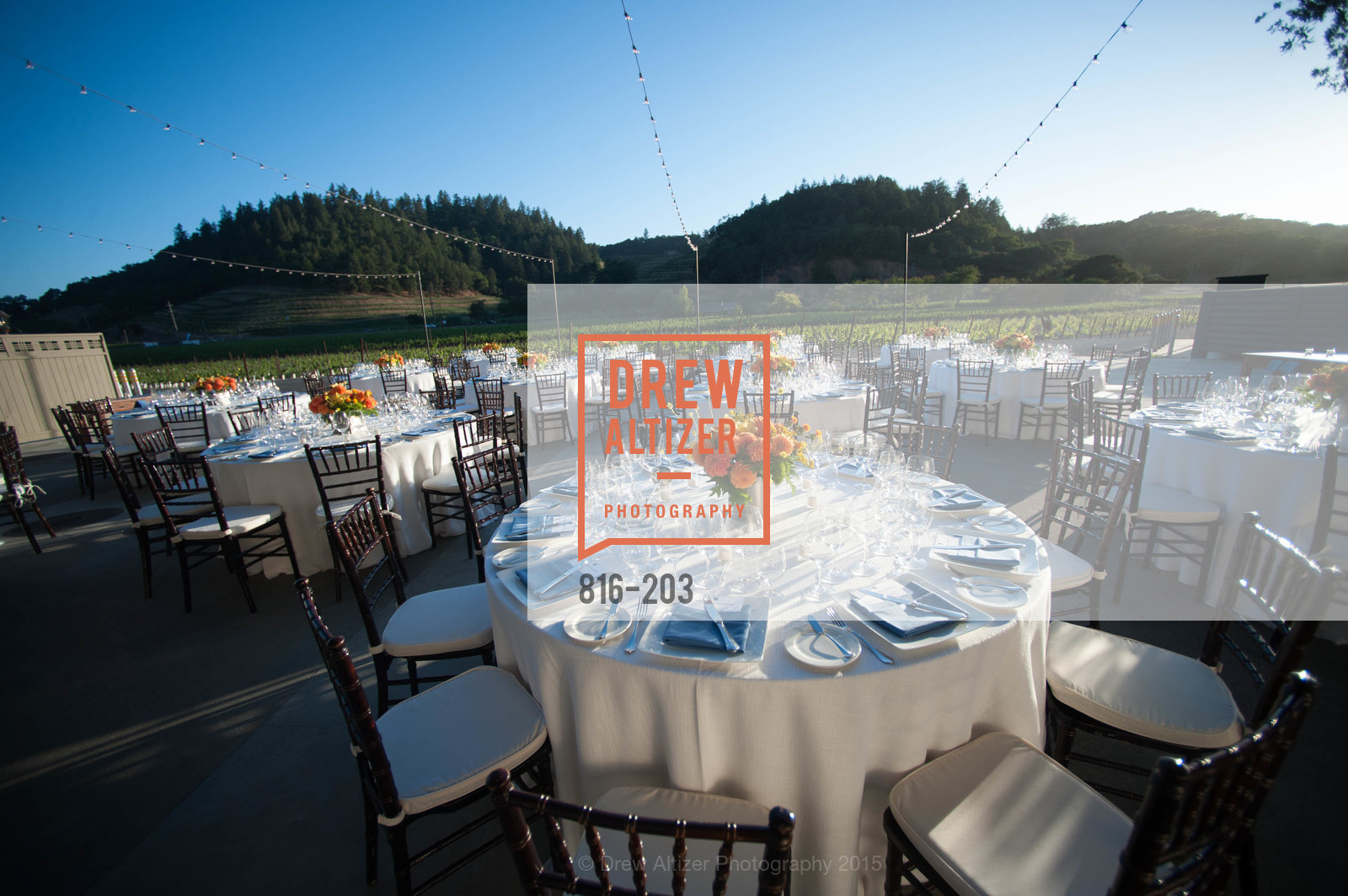 Atmosphere, Festival del Sole Patron Dinner at Odette Estate, Odette Estate. 5998 Silverado Trail, July 26th, 2015,Drew Altizer, Drew Altizer Photography, full-service agency, private events, San Francisco photographer, photographer california