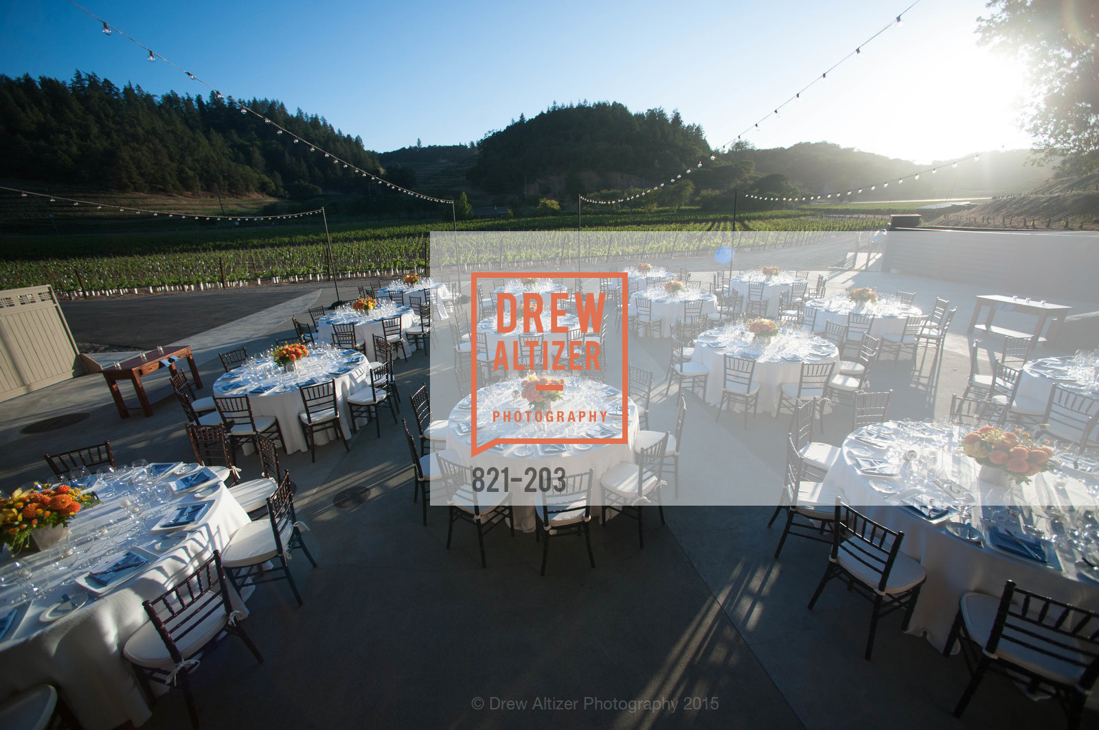 Atmosphere, Festival del Sole Patron Dinner at Odette Estate, Odette Estate. 5998 Silverado Trail, July 26th, 2015,Drew Altizer, Drew Altizer Photography, full-service agency, private events, San Francisco photographer, photographer california