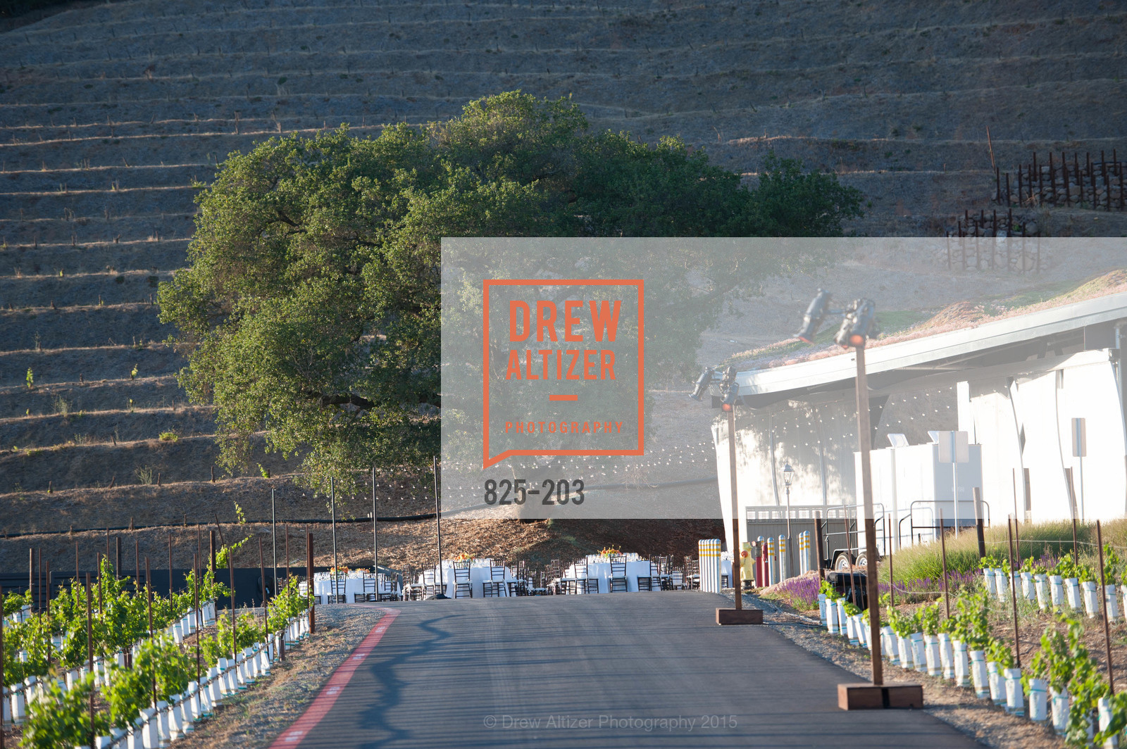 Atmosphere, Festival del Sole Patron Dinner at Odette Estate, Odette Estate. 5998 Silverado Trail, July 26th, 2015,Drew Altizer, Drew Altizer Photography, full-service agency, private events, San Francisco photographer, photographer california