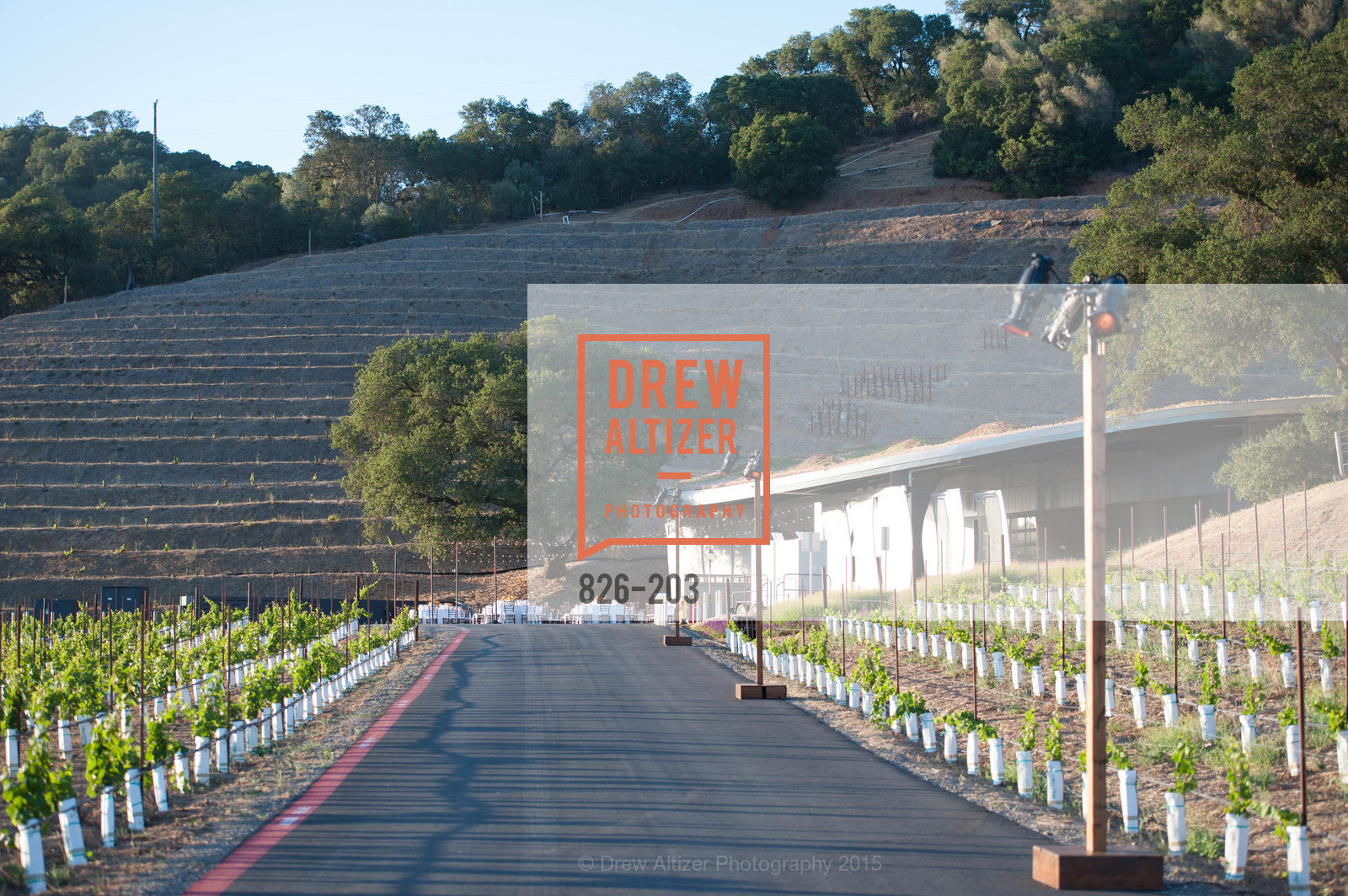 Atmosphere, Festival del Sole Patron Dinner at Odette Estate, Odette Estate. 5998 Silverado Trail, July 26th, 2015,Drew Altizer, Drew Altizer Photography, full-service agency, private events, San Francisco photographer, photographer california