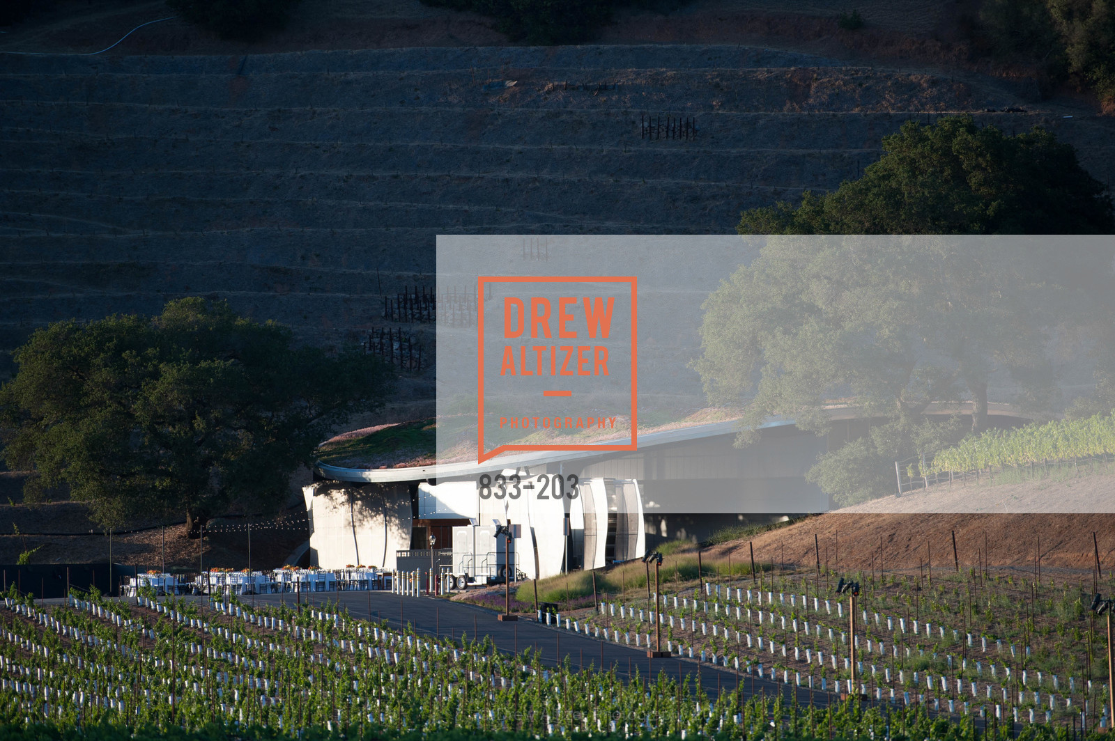 Atmosphere, Festival del Sole Patron Dinner at Odette Estate, Odette Estate. 5998 Silverado Trail, July 26th, 2015,Drew Altizer, Drew Altizer Photography, full-service agency, private events, San Francisco photographer, photographer california