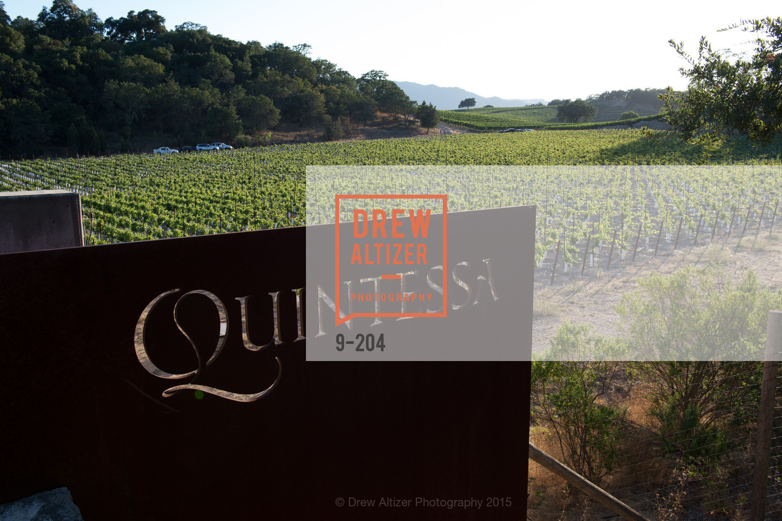 Atmosphere, Festival del Sole Patron Dinner at Quintessa, Quintessa. 1601 Silverado Trail, July 25th, 2015,Drew Altizer, Drew Altizer Photography, full-service agency, private events, San Francisco photographer, photographer california